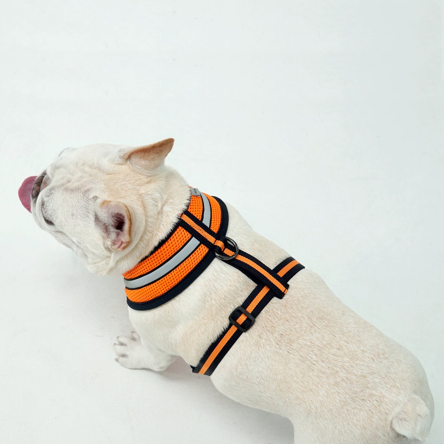 STRETCH 3M HARNESS