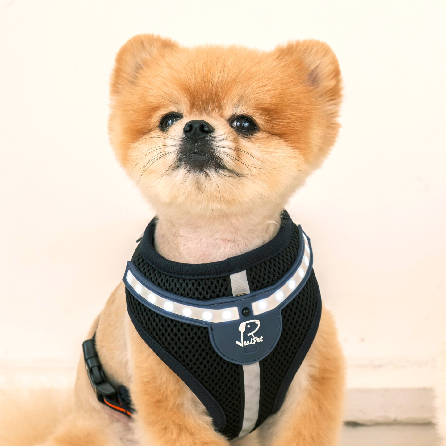 WHITE LED HARNESS