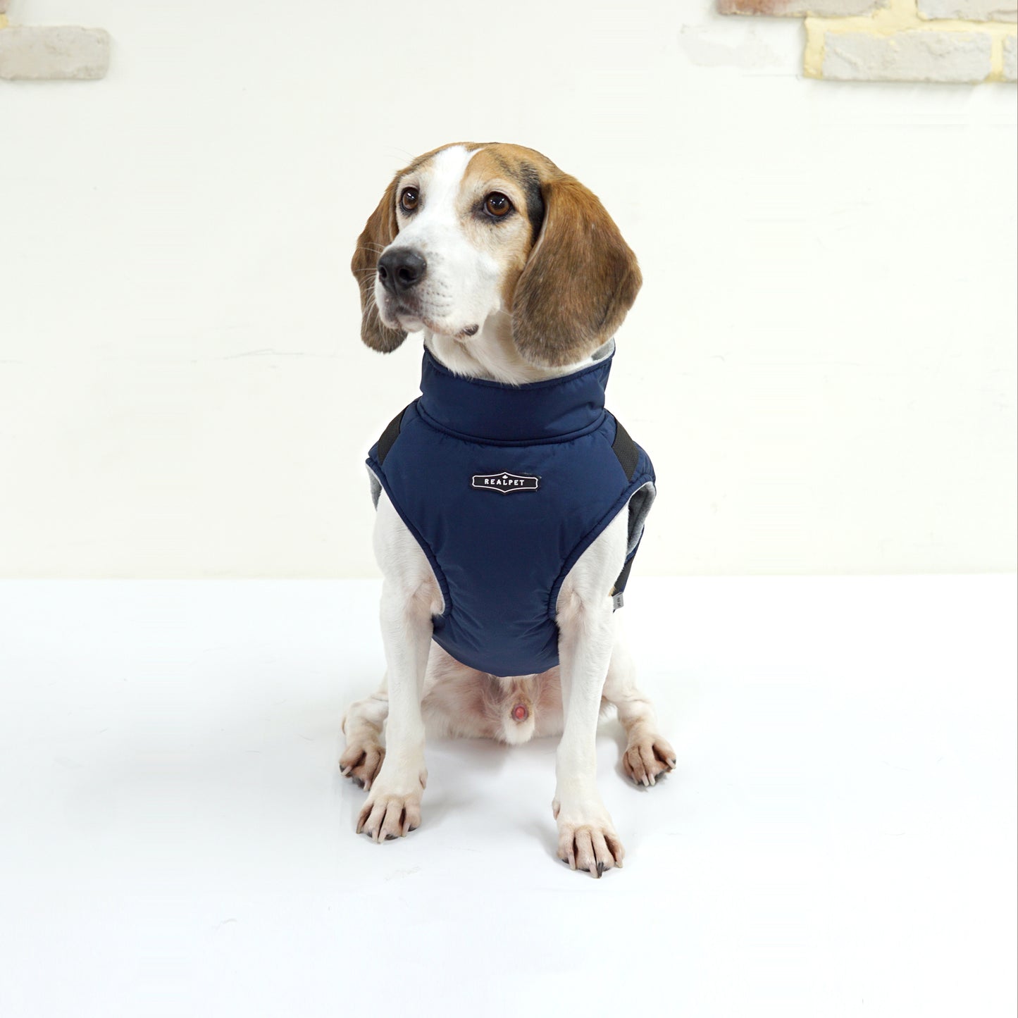 LARGE DOG PADDING HARNESS