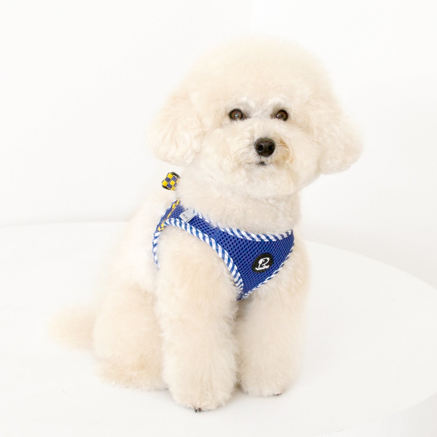 CHECK SLIM HARNESS