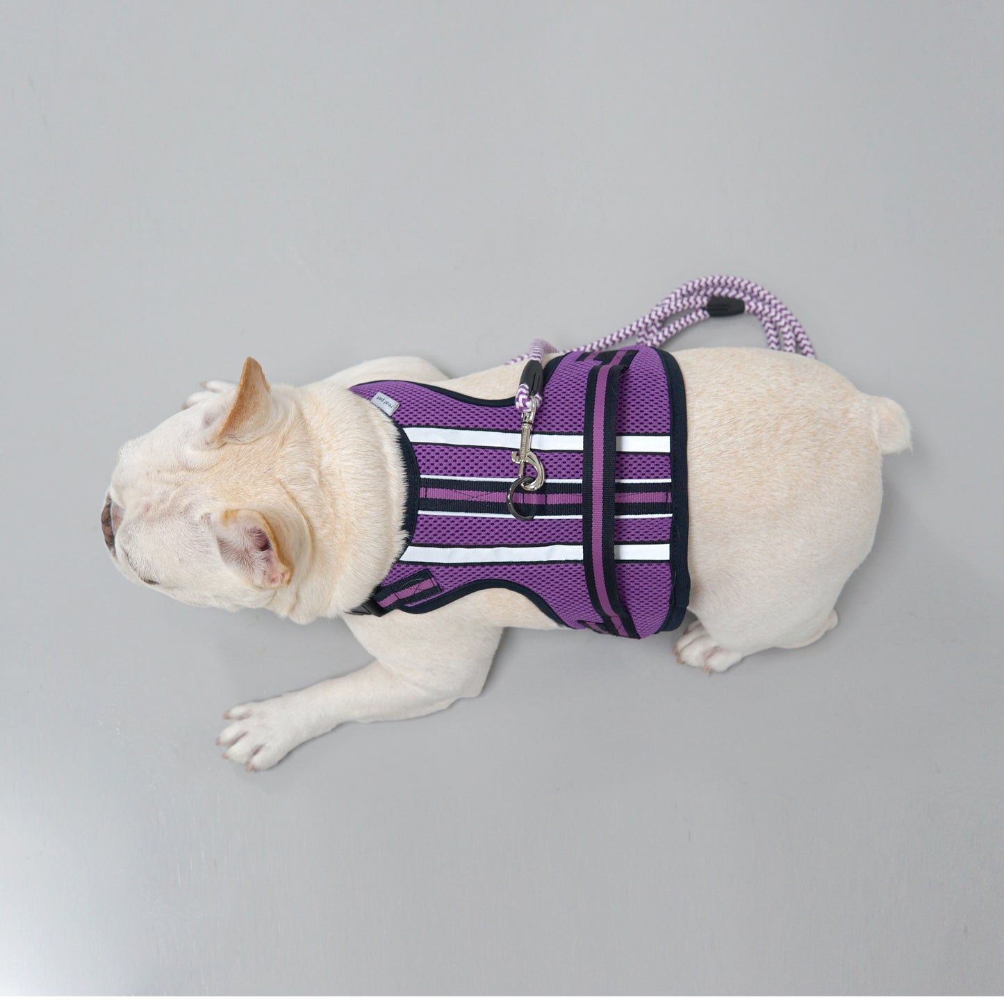 SUPPORT 3M HARNESS