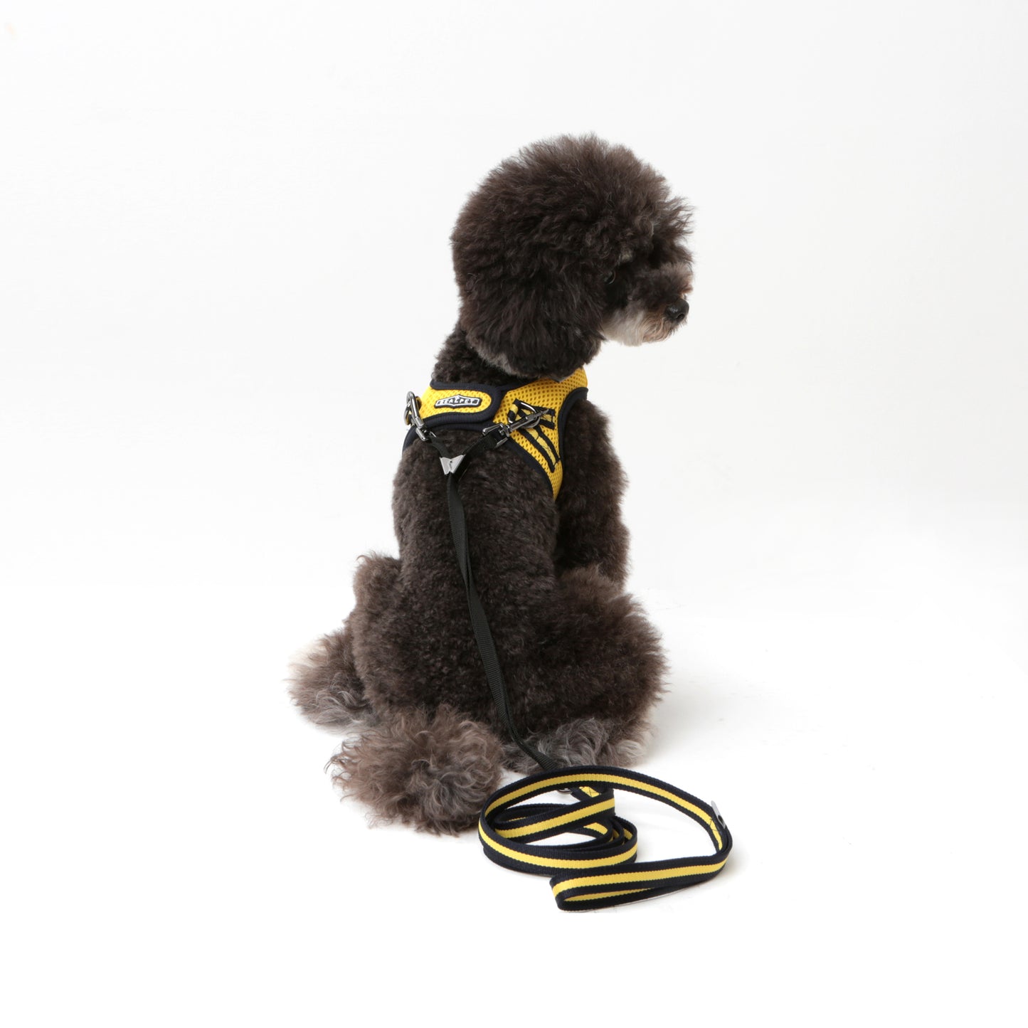 Dog Strong Vest Harness and Lead Set