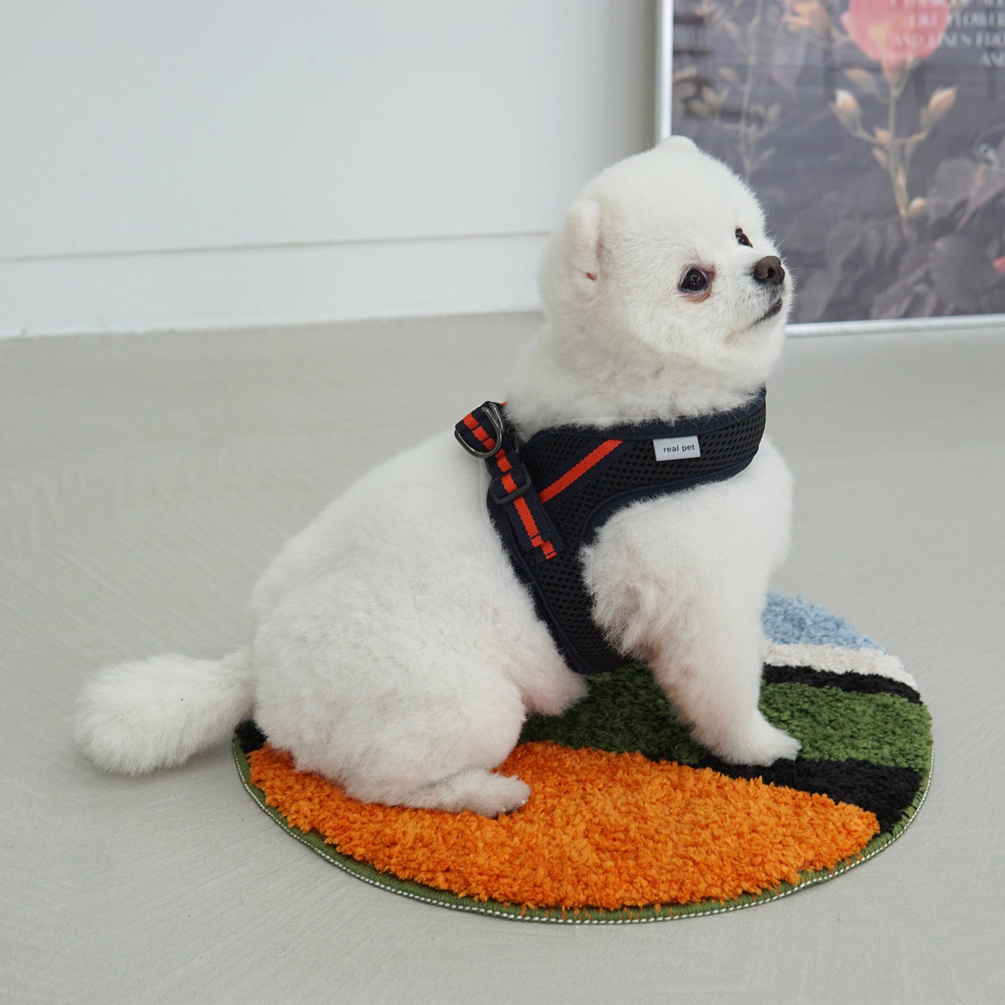 SIMPLY CONTROL HARNESS