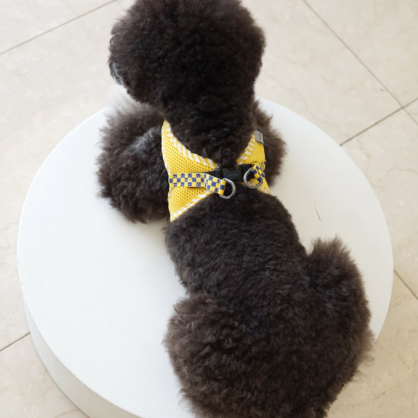 CHECK SLIM HARNESS