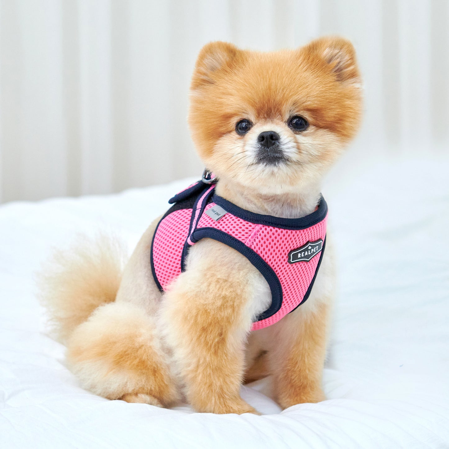 FREE SAFE HARNESS