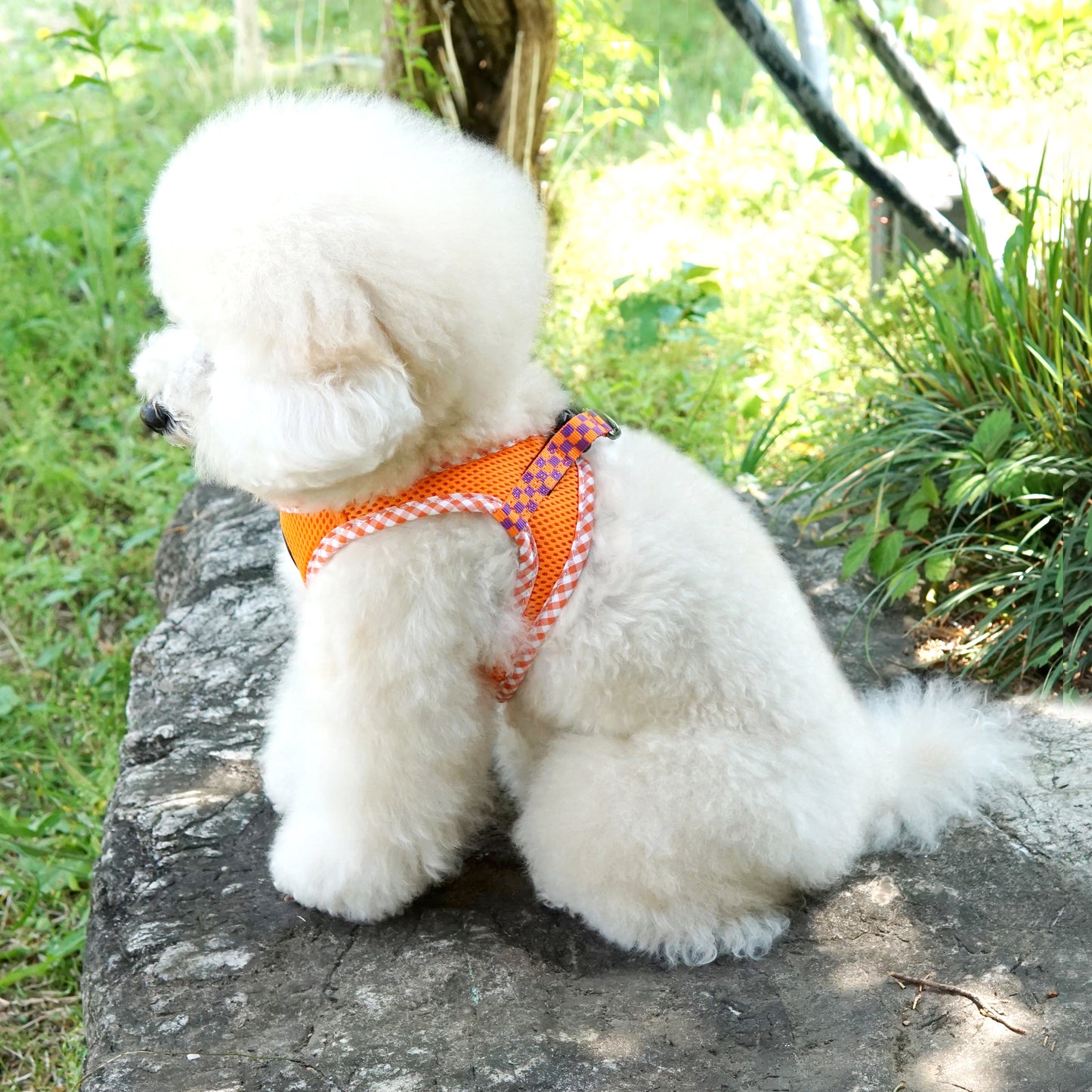 CHECK SLIM HARNESS