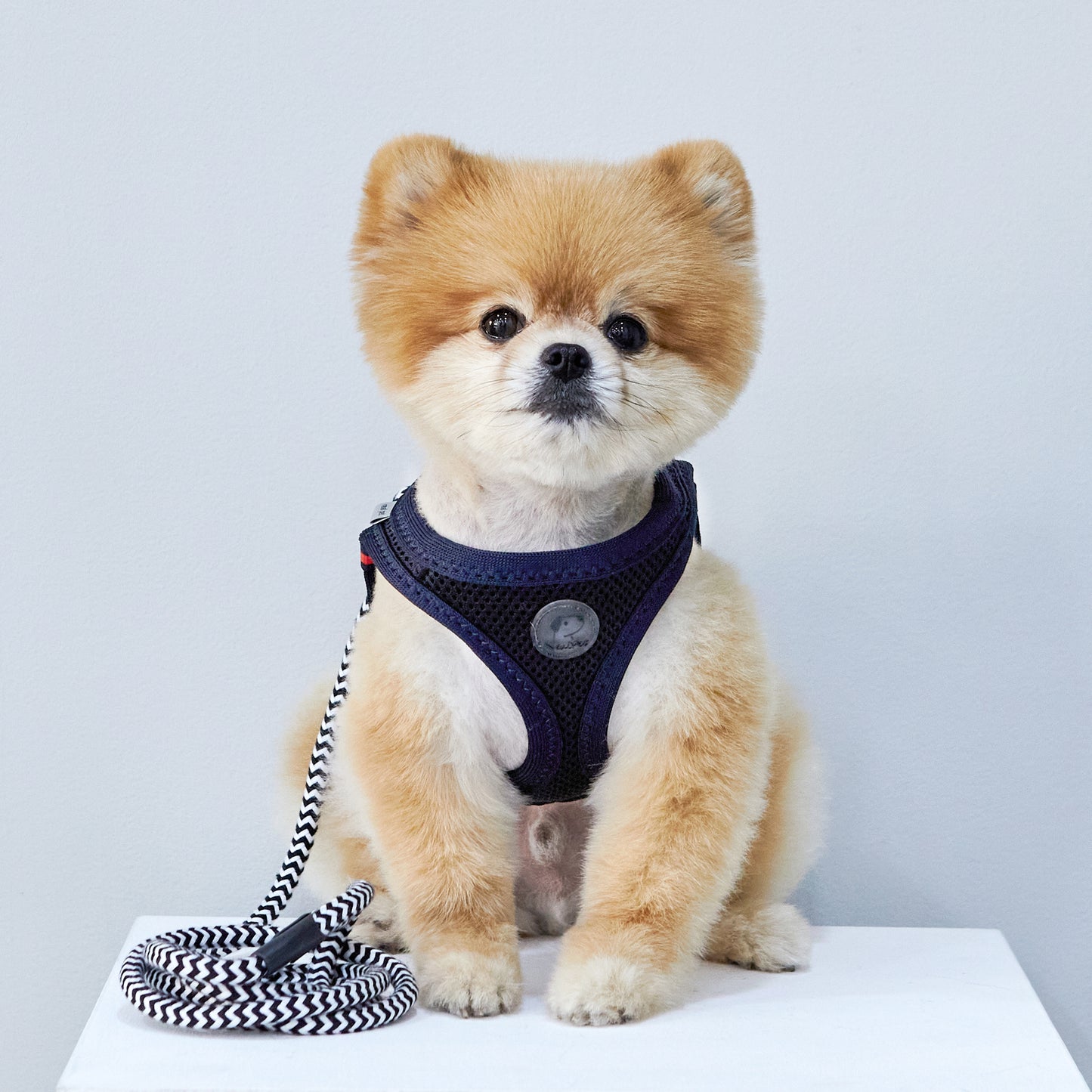 FOUR-SEASON SLIM VEST HARNESS