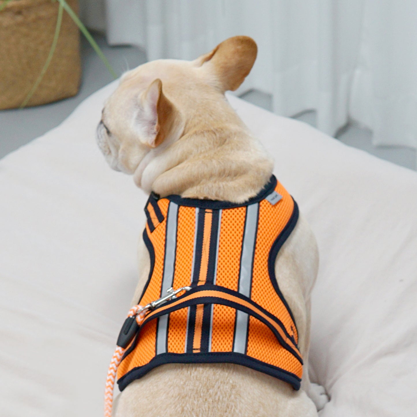 SUPPORT 3M HARNESS