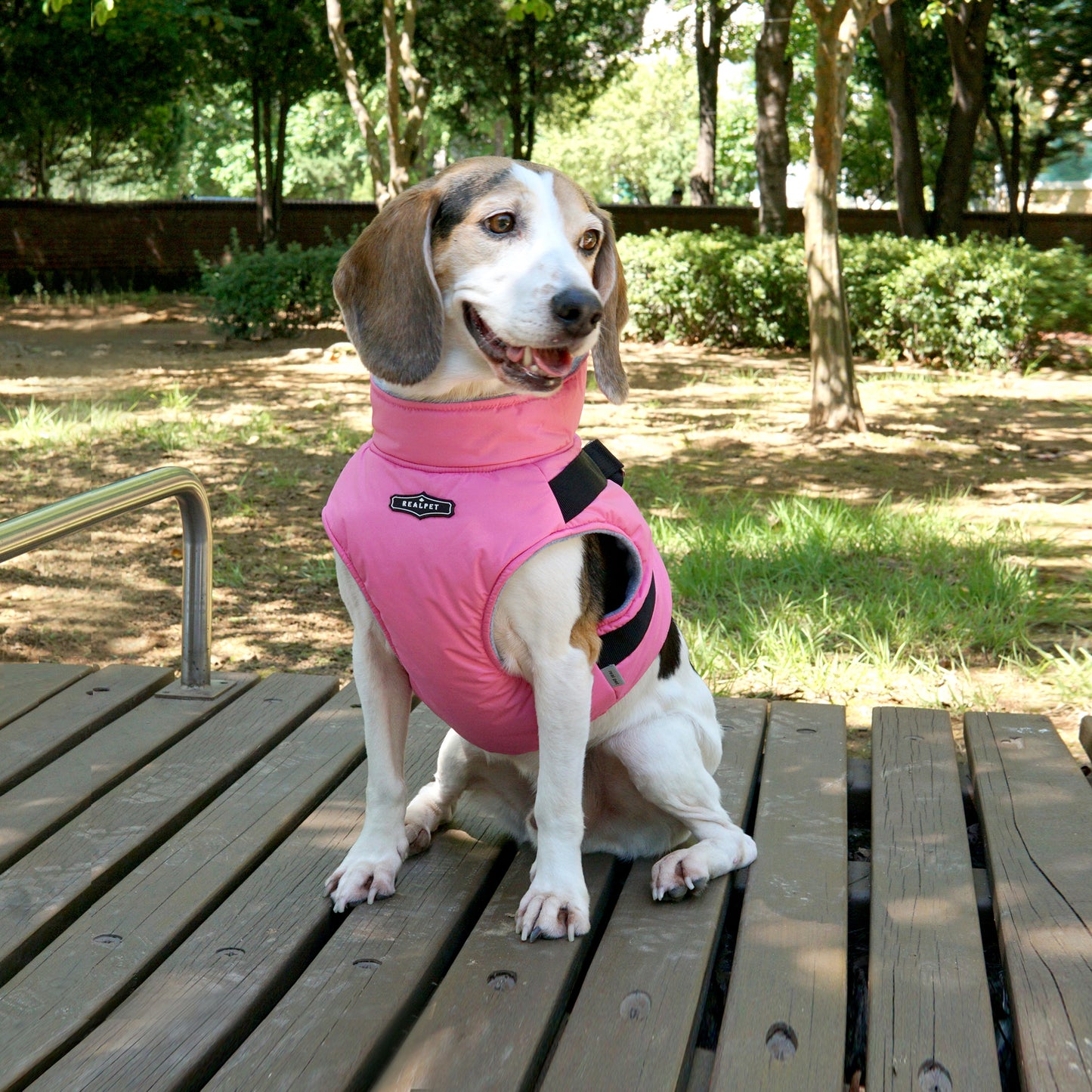 LARGE DOG PADDING HARNESS