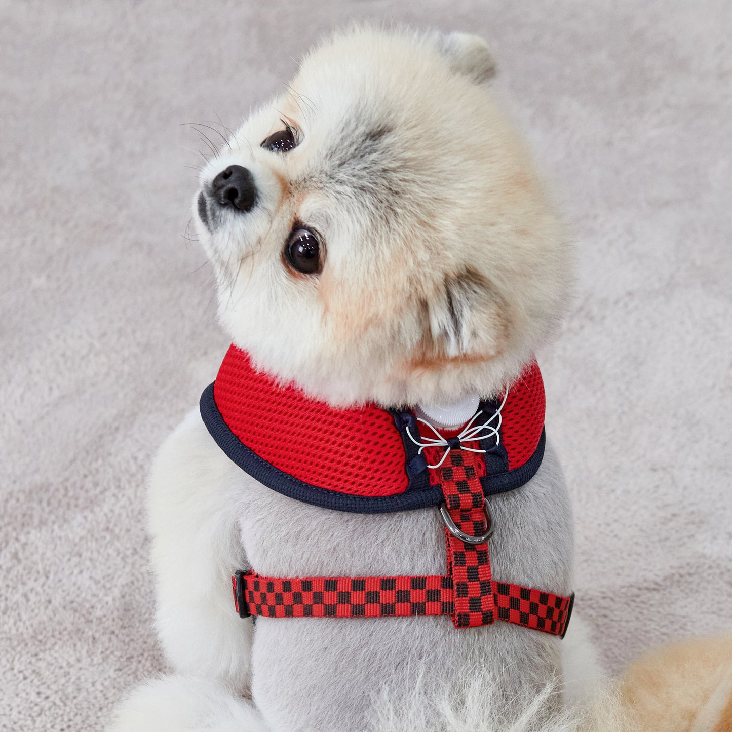 UNIQUE BOA HARNESS