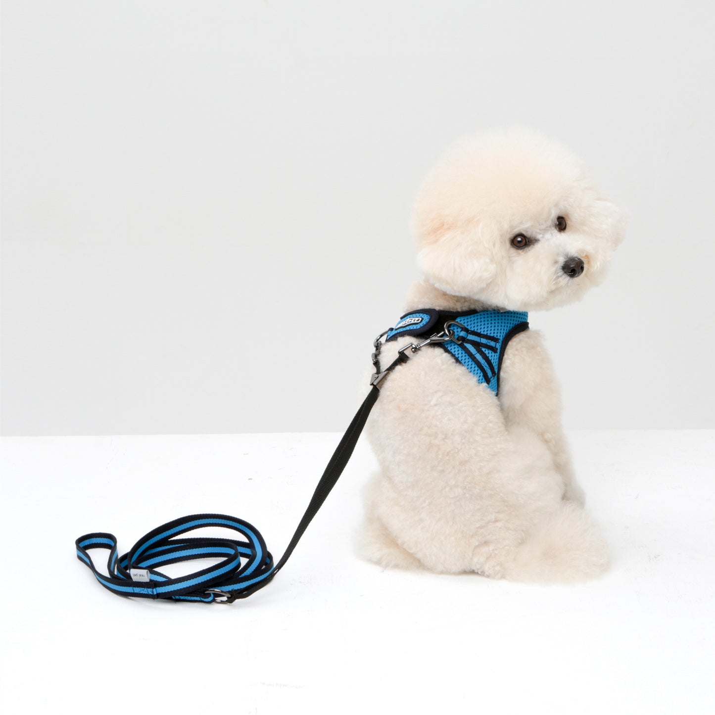 Dog Strong Vest Harness and Lead Set