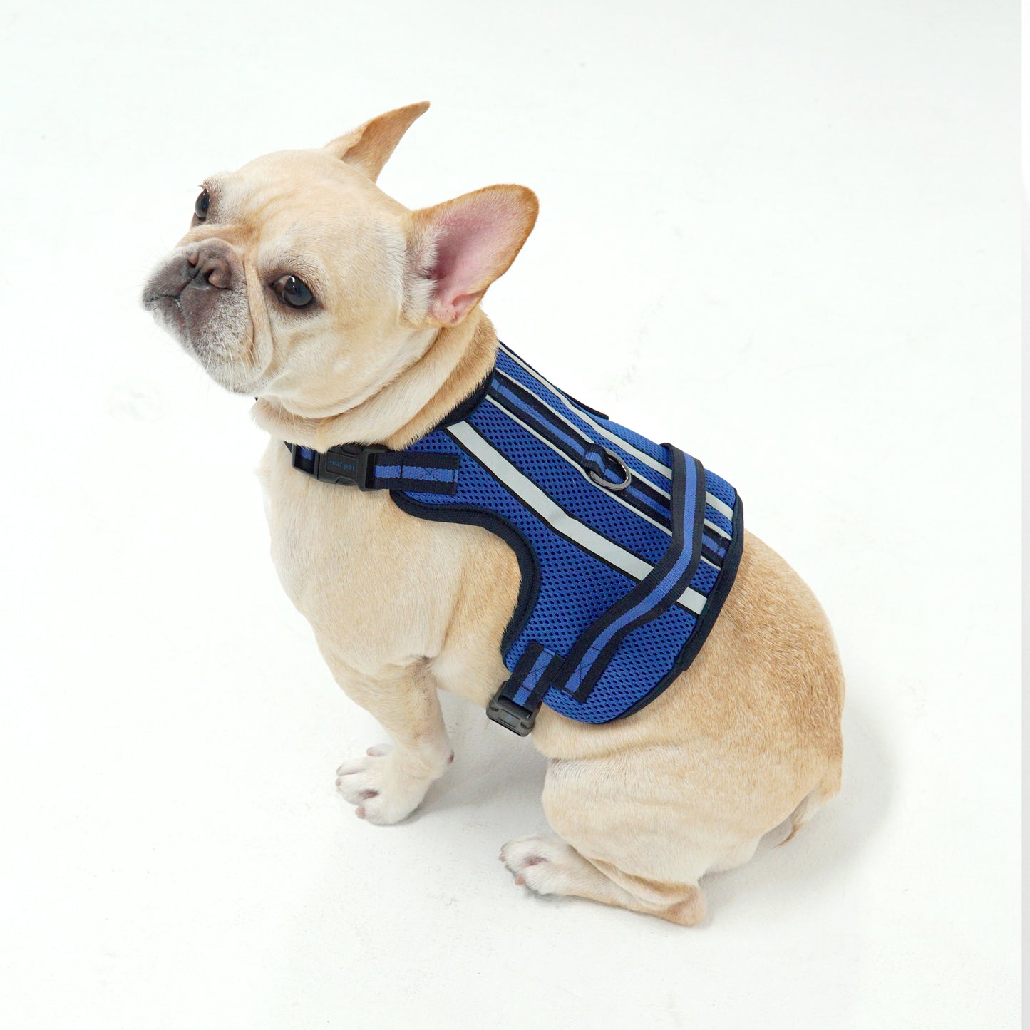 SUPPORT 3M HARNESS