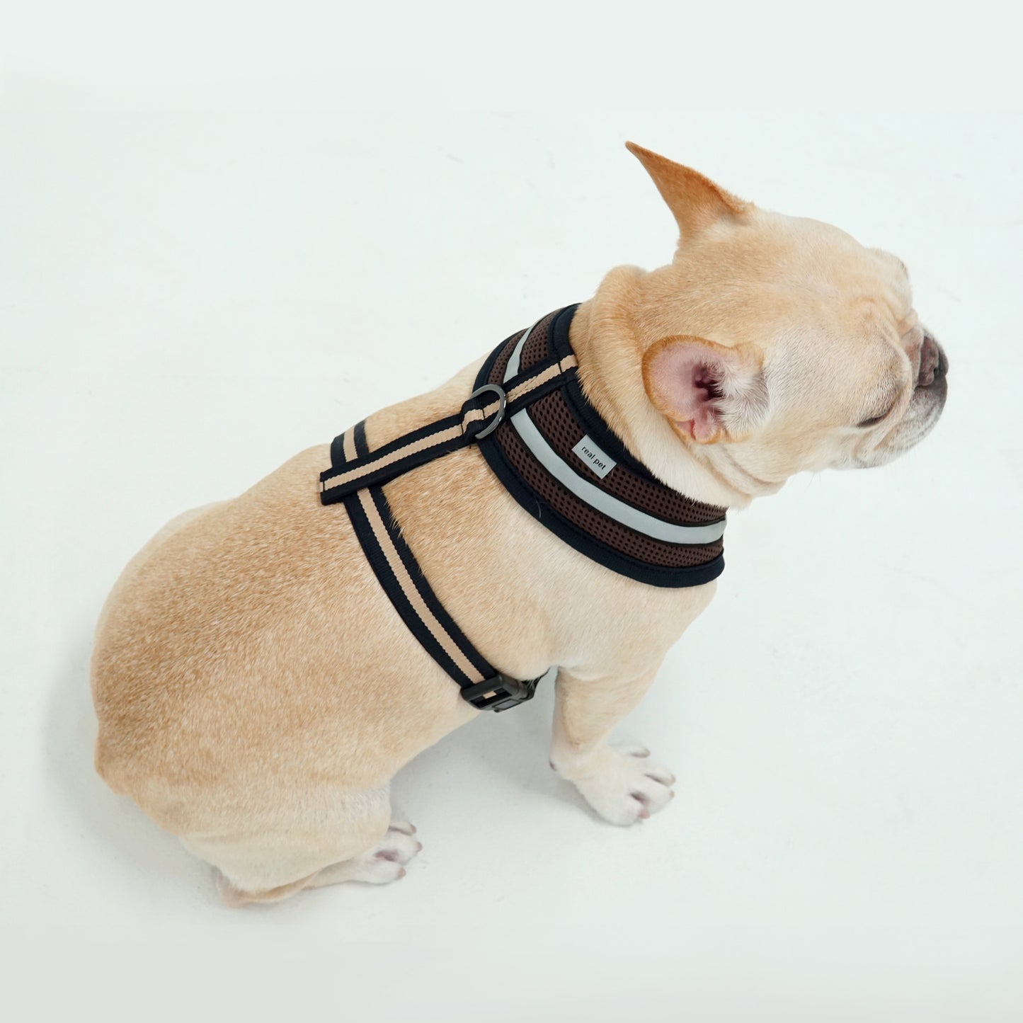 STRETCH 3M HARNESS