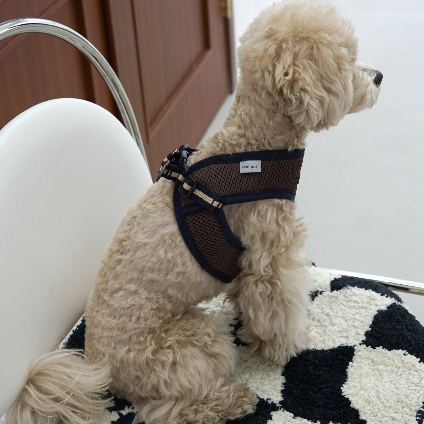EAZY CONTROL HARNESS