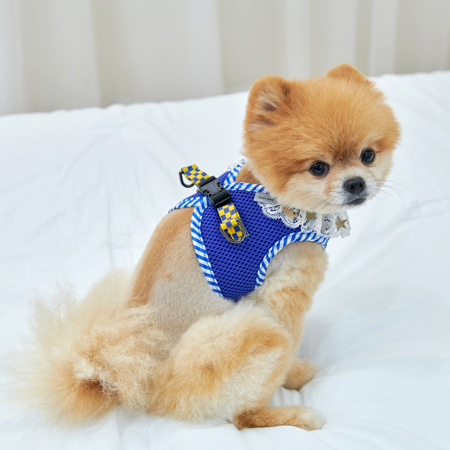 NECK LACE PENDANT HARNESS