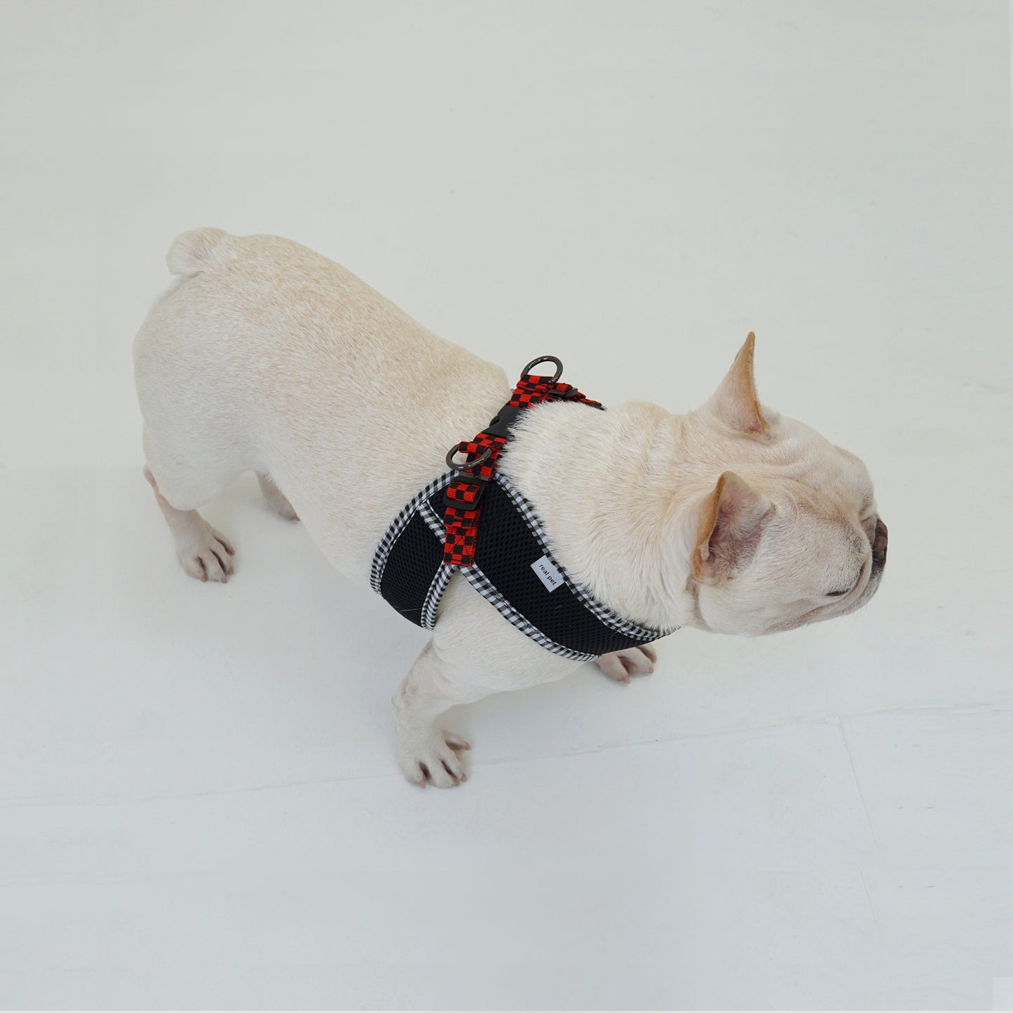 PASTEL CHECK HARNESS