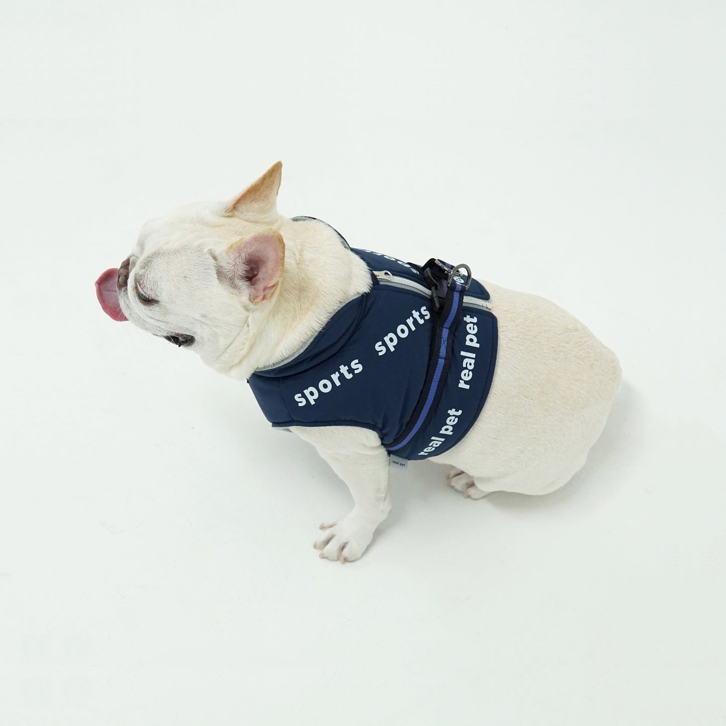 SPORT SHORT PADDING HARNESS