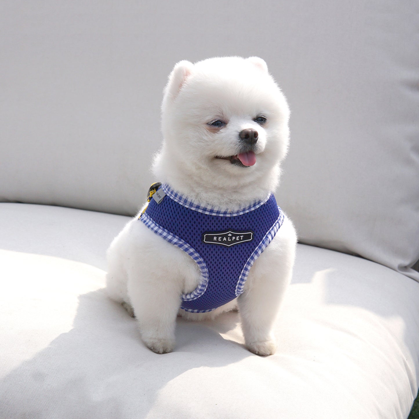 PASTEL CHECK HARNESS
