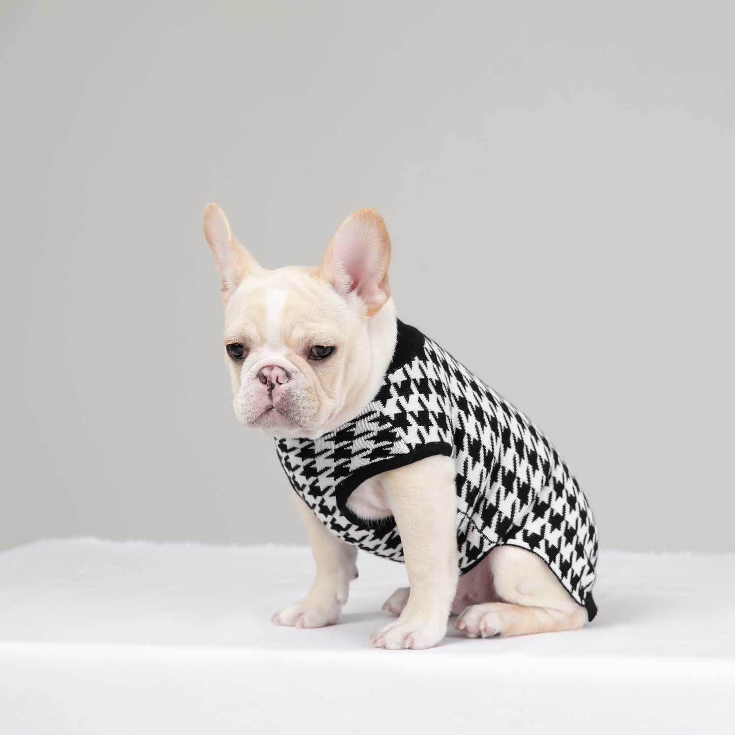 HOUND CHECK KNIT