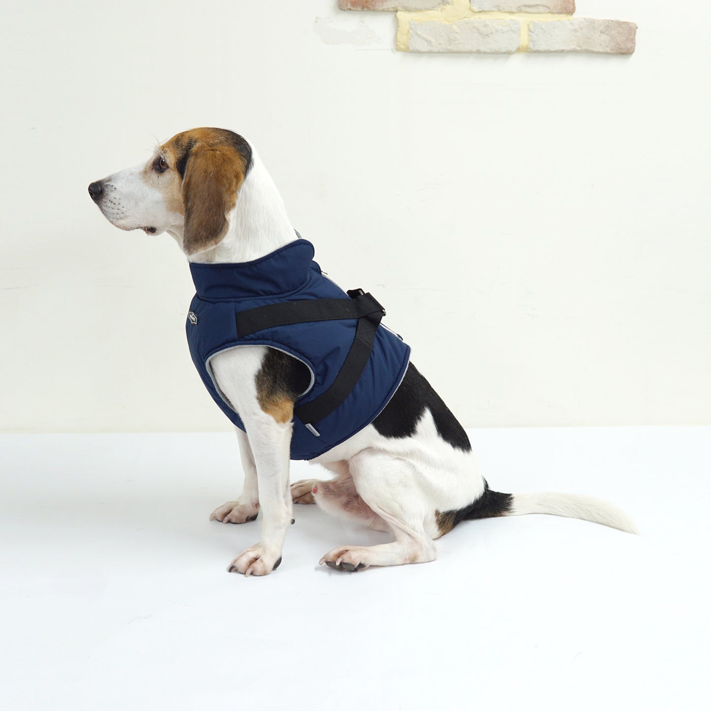 LARGE DOG PADDING HARNESS