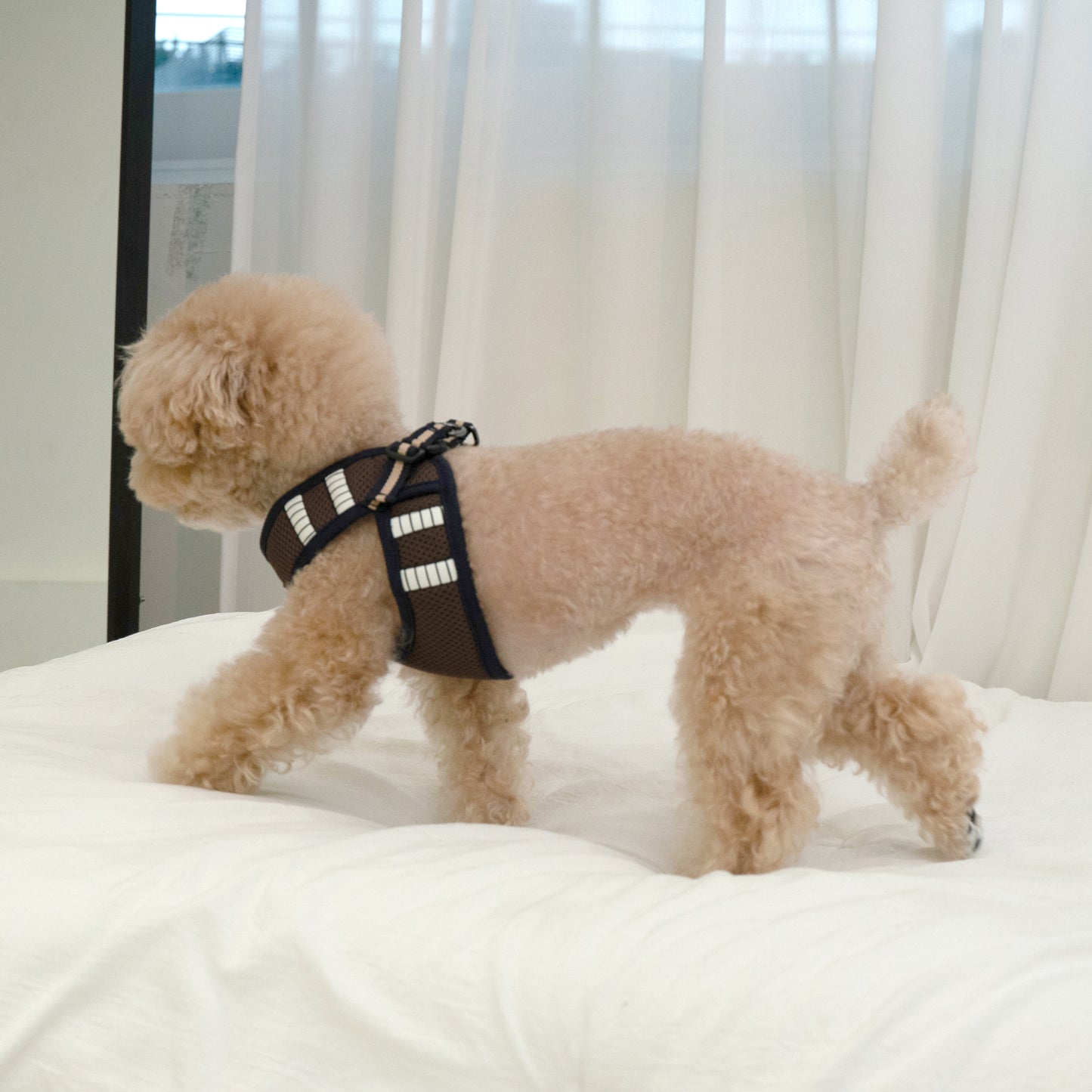 SAFE GLOW HARNESS