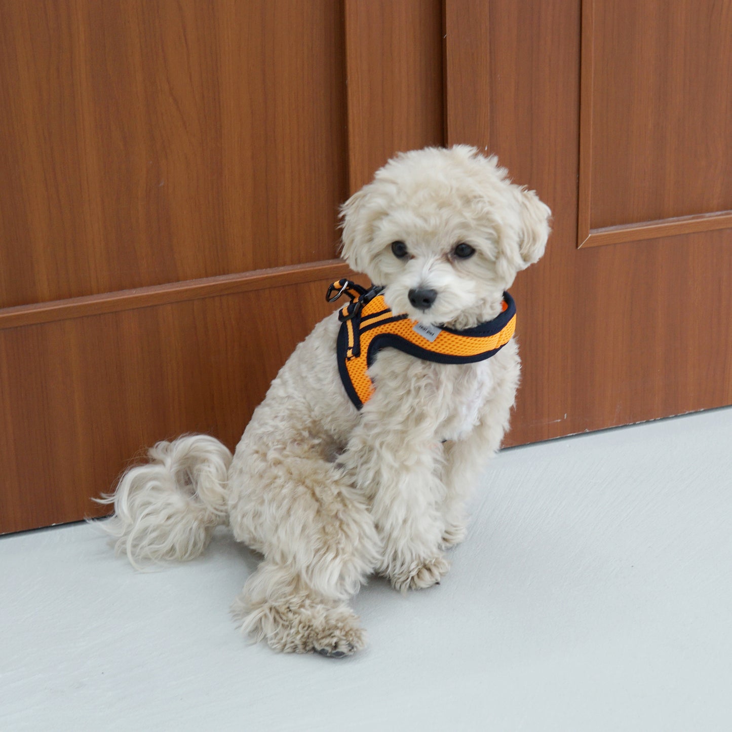 SIMPLY CONTROL HARNESS