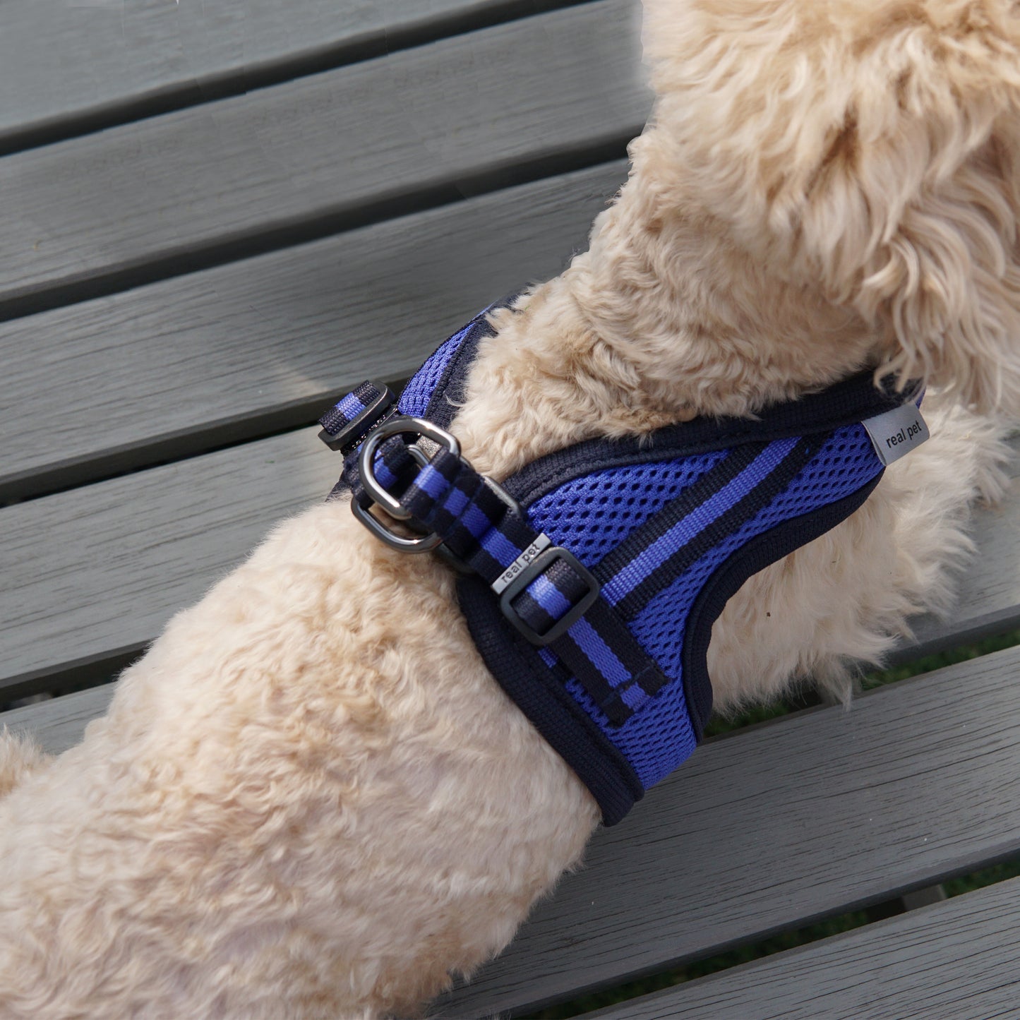 SIMPLY CONTROL HARNESS