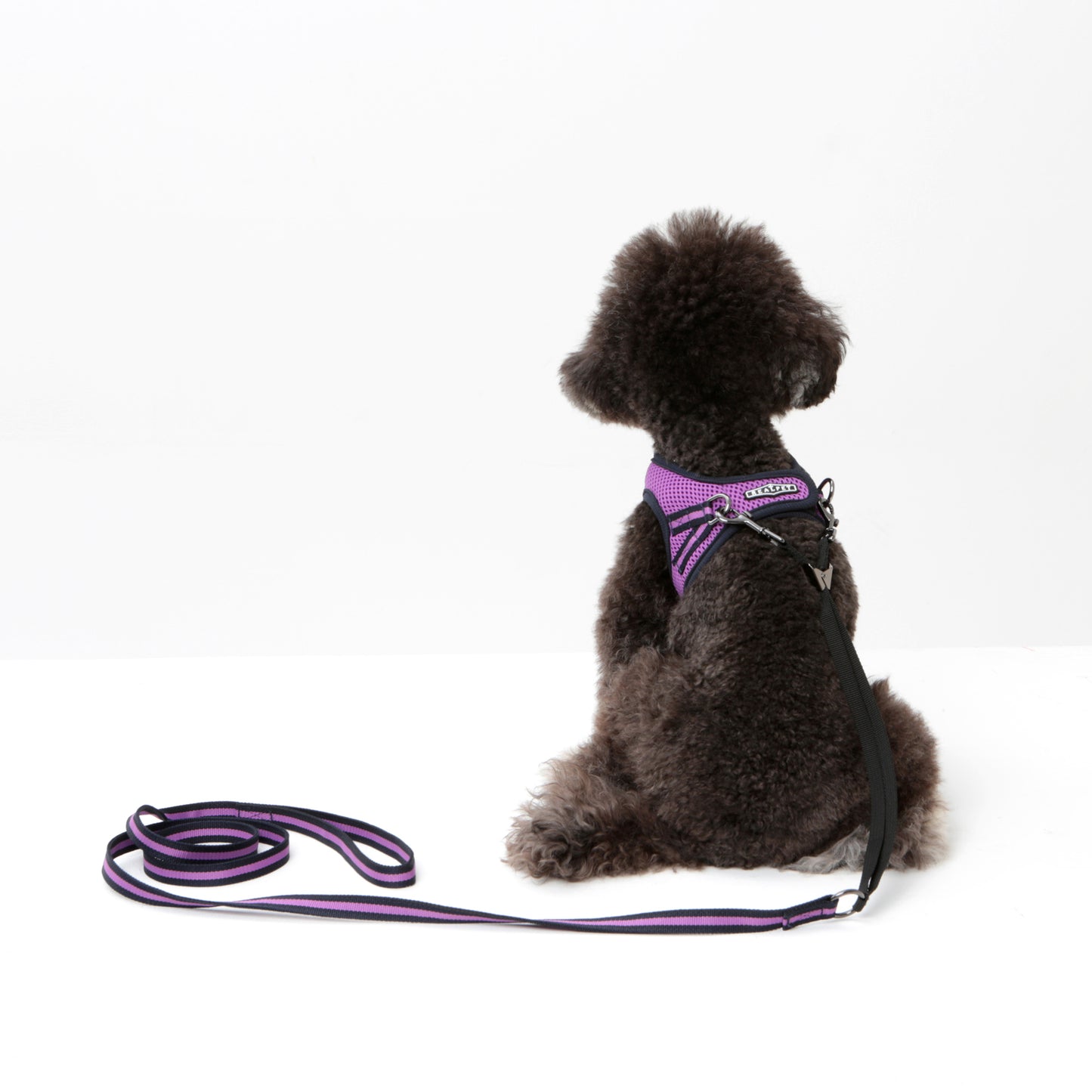 Dog Strong Vest Harness and Lead Set
