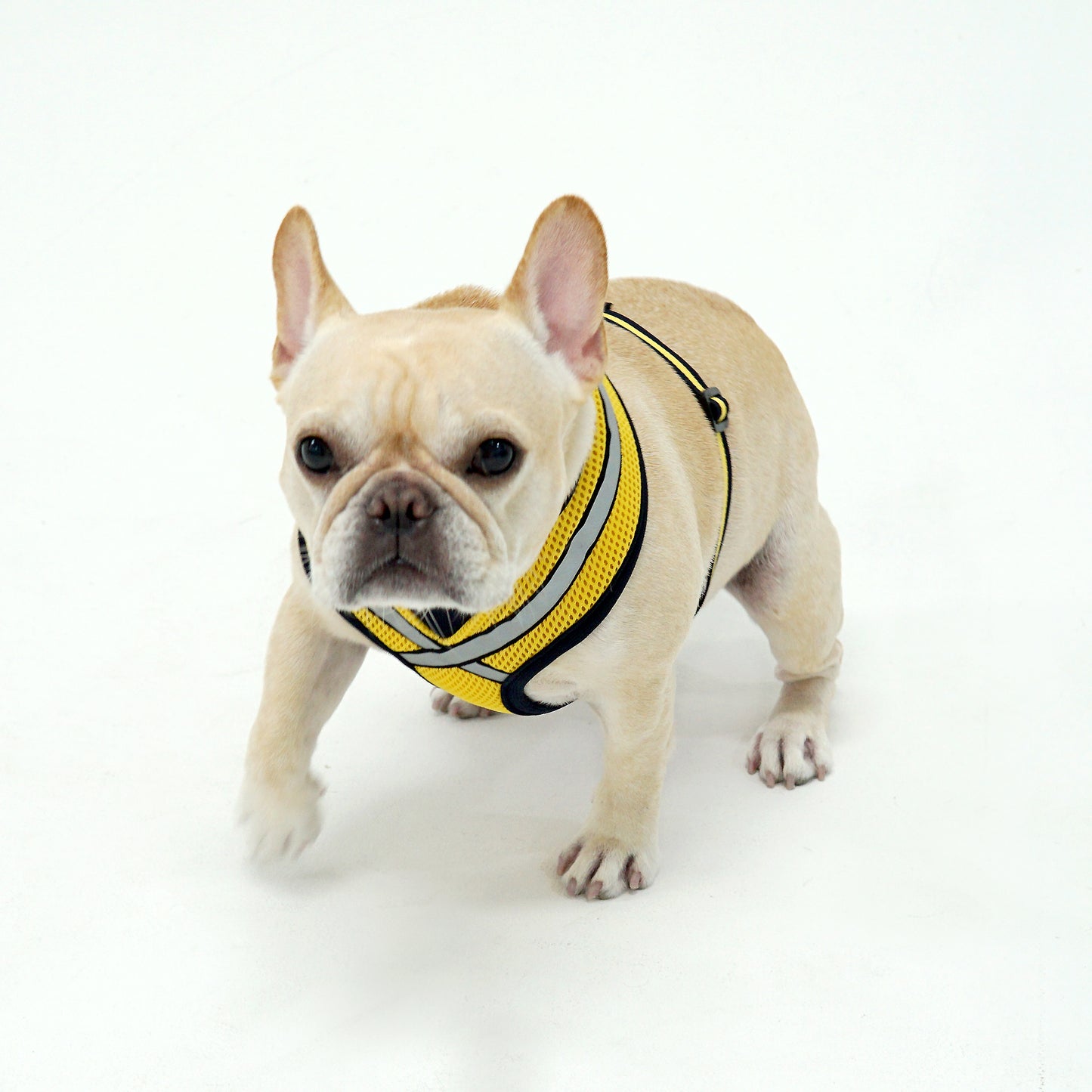 STRETCH 3M HARNESS