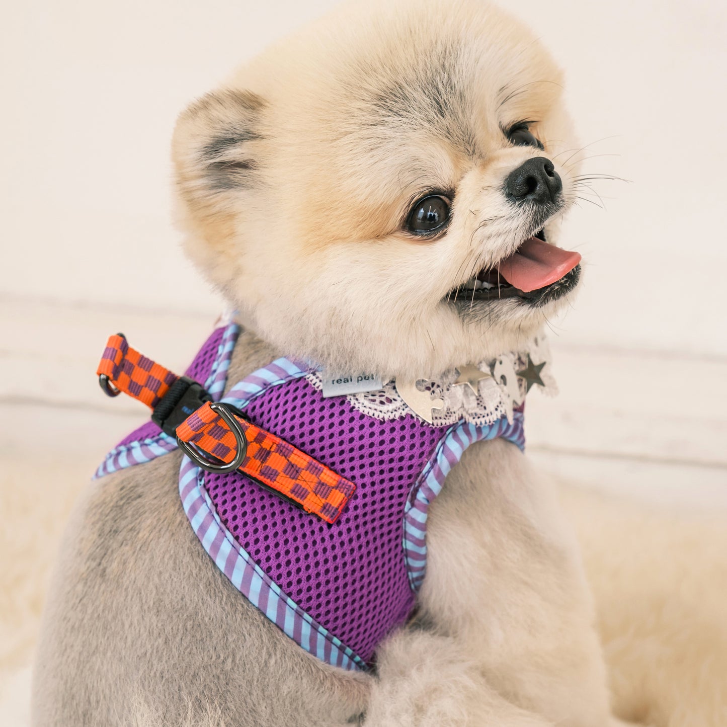 NECK LACE PENDANT HARNESS