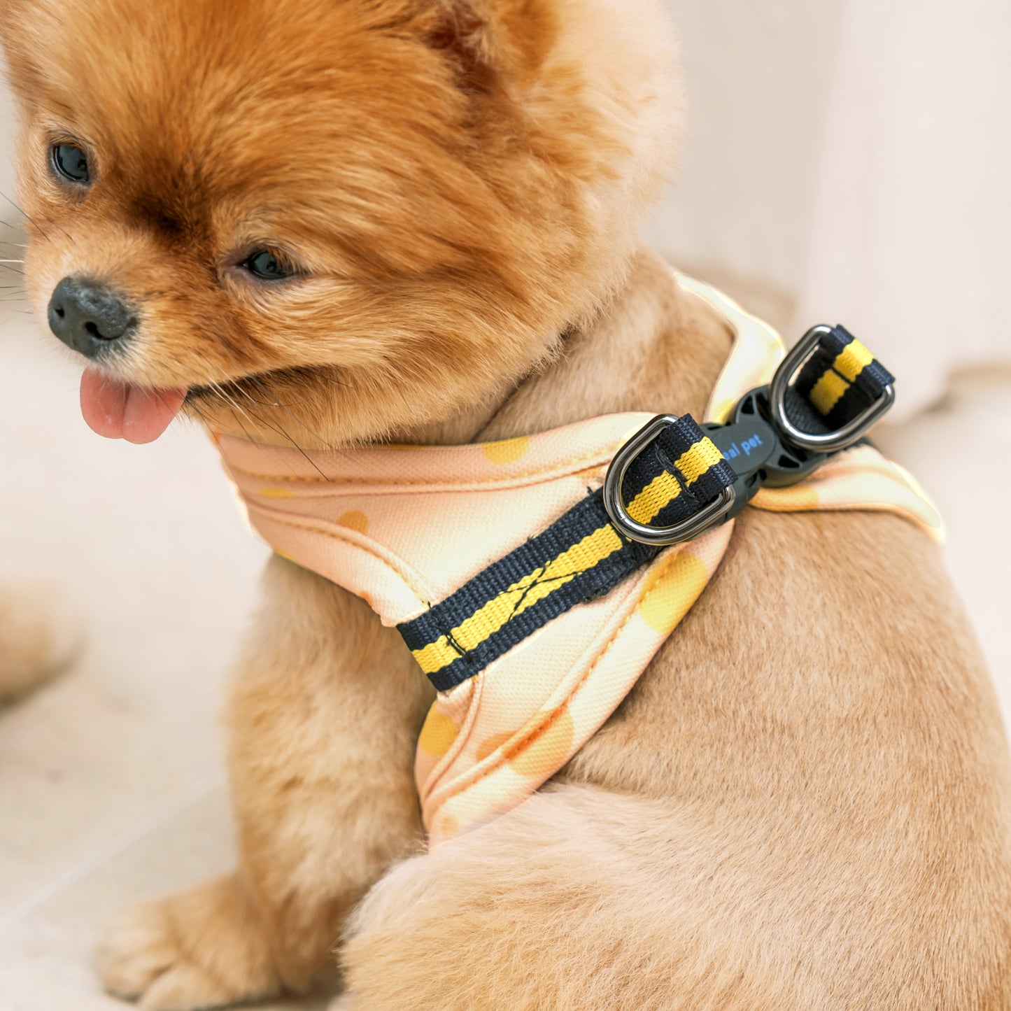 DOT SLIM HARNESS