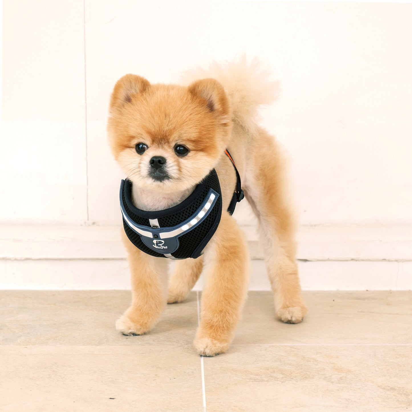 WHITE LED HARNESS