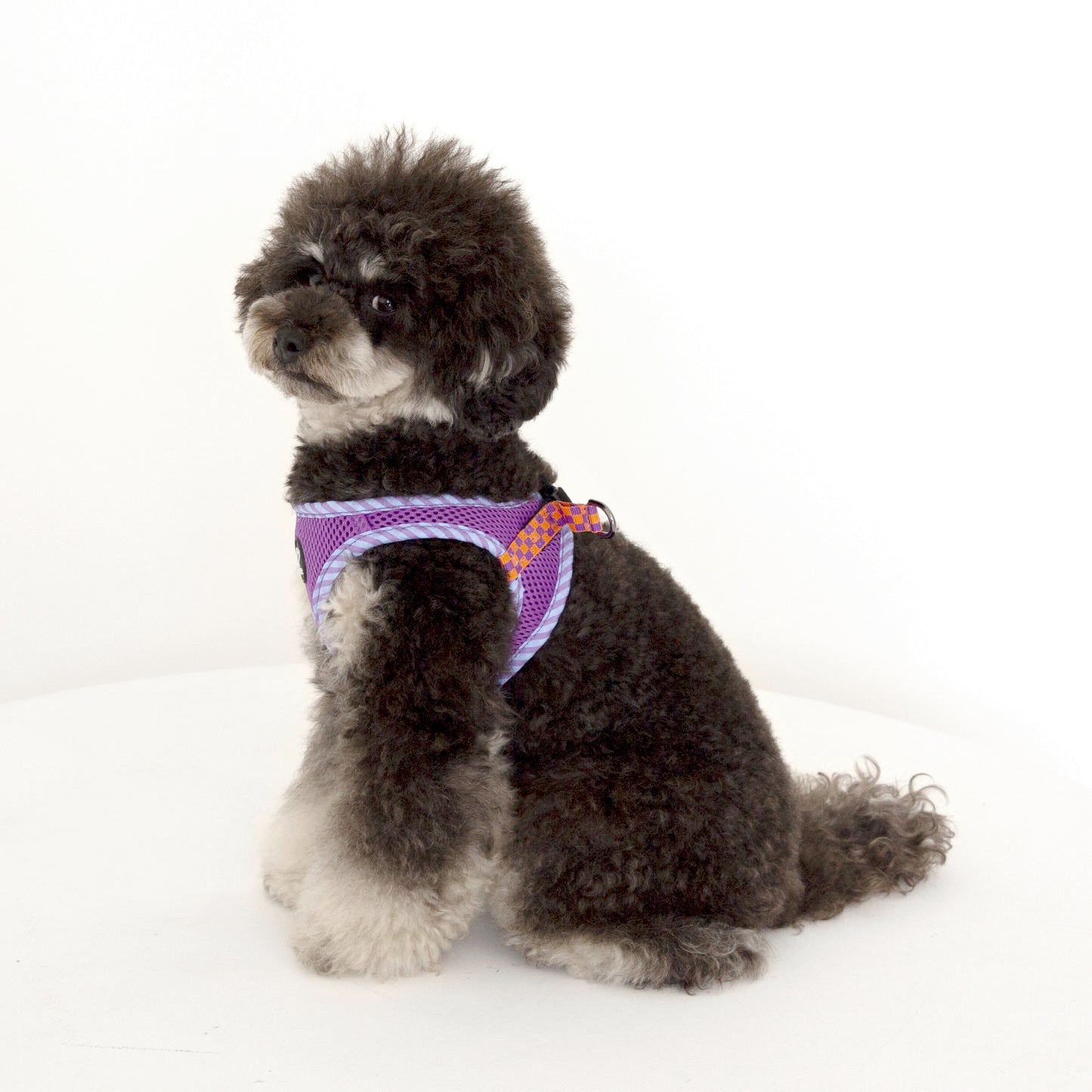 CHECK SLIM HARNESS