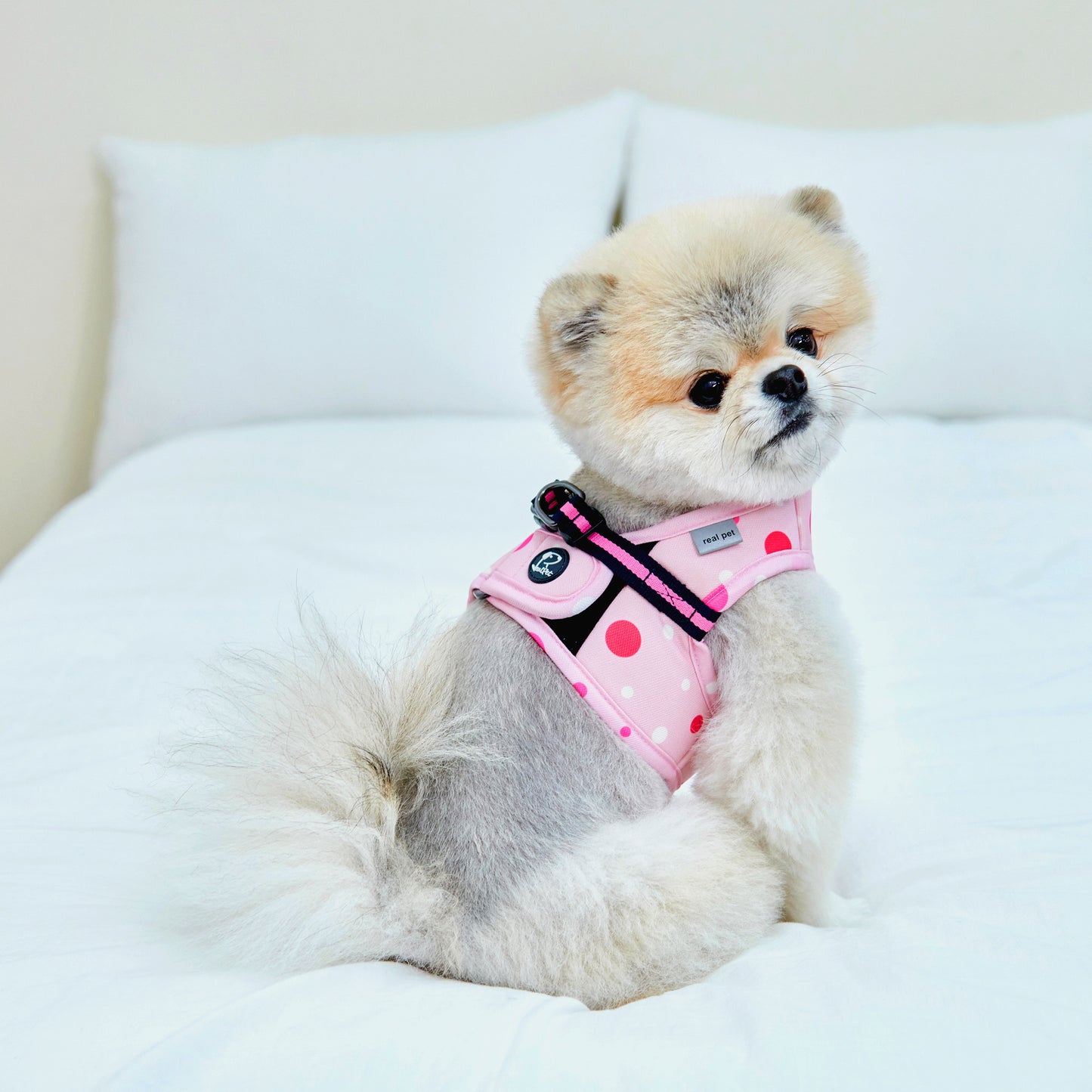 DOT VEST HARNESS