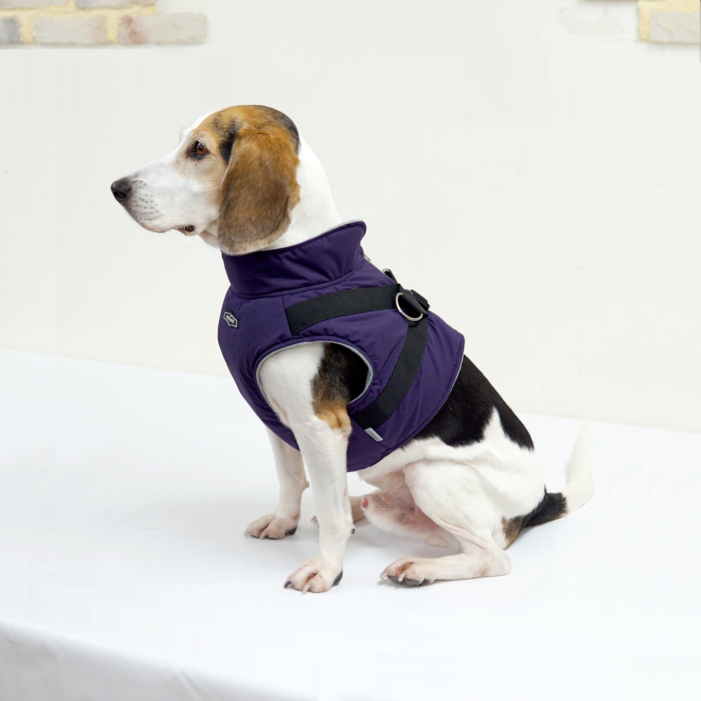 LARGE DOG PADDING HARNESS