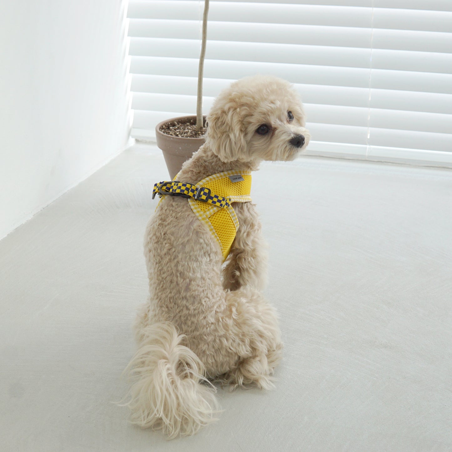 PASTEL CHECK HARNESS