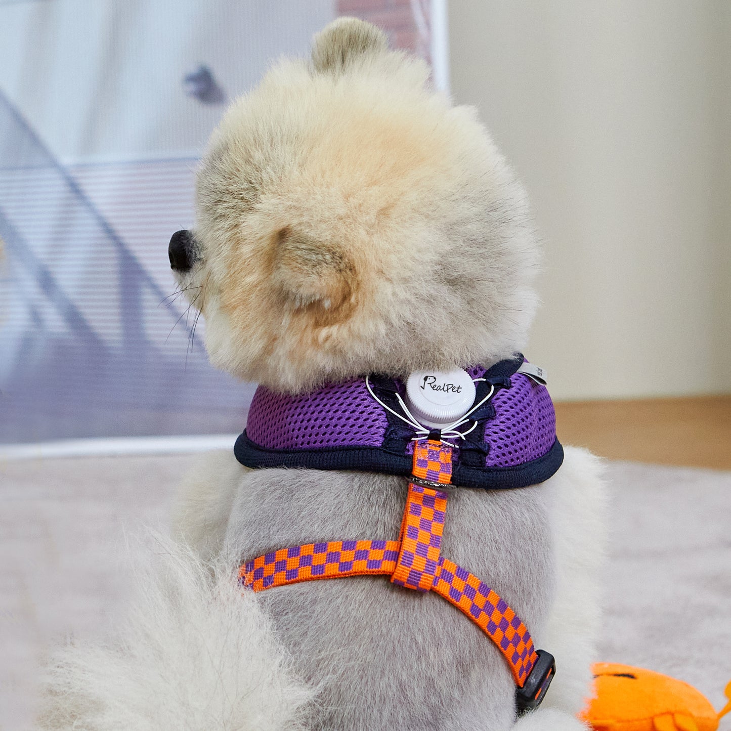 UNIQUE BOA HARNESS