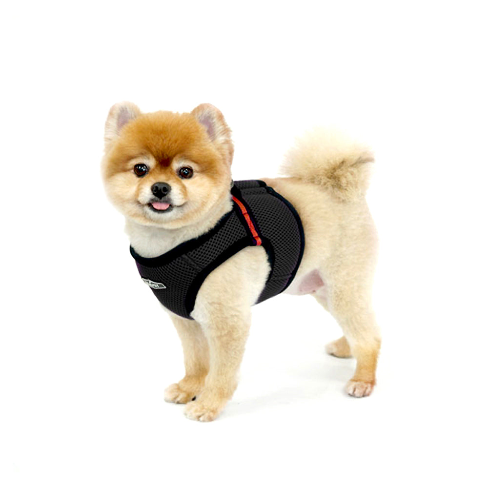 FREE SAFE HARNESS