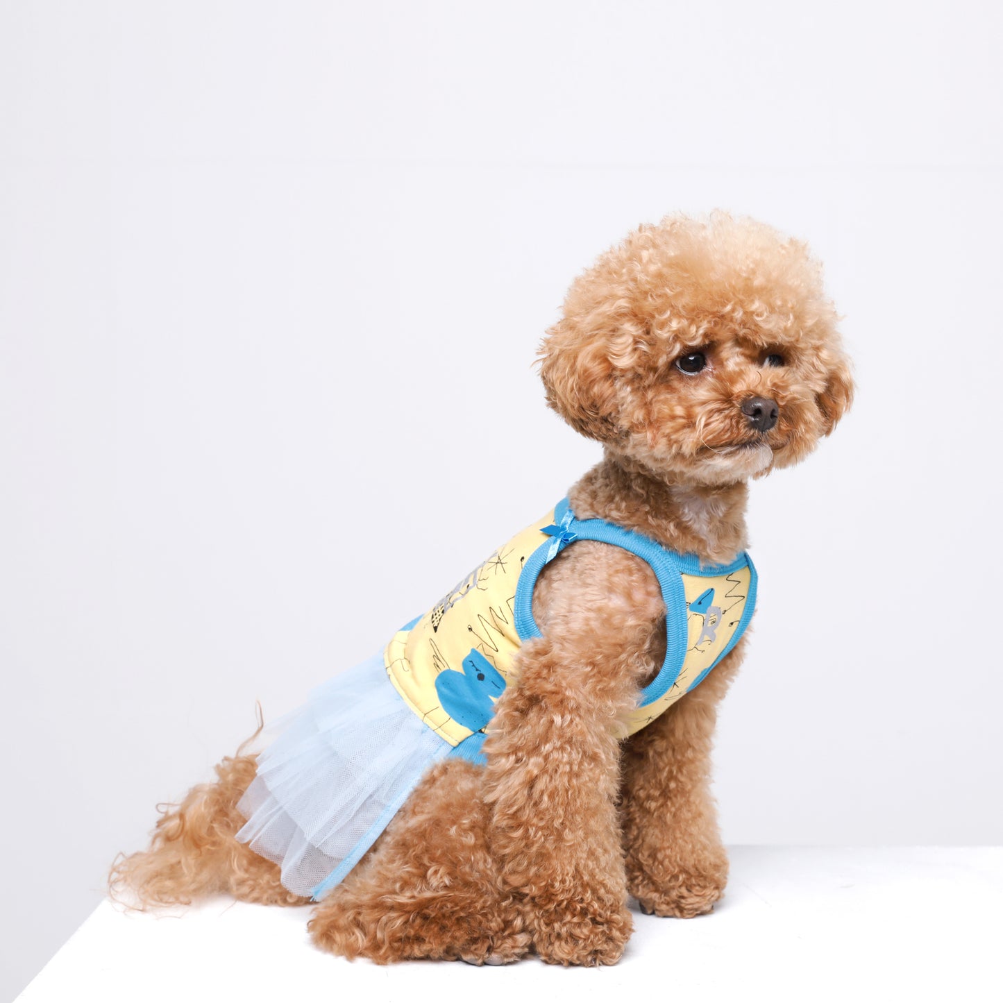 PETIT BEBE DRESS