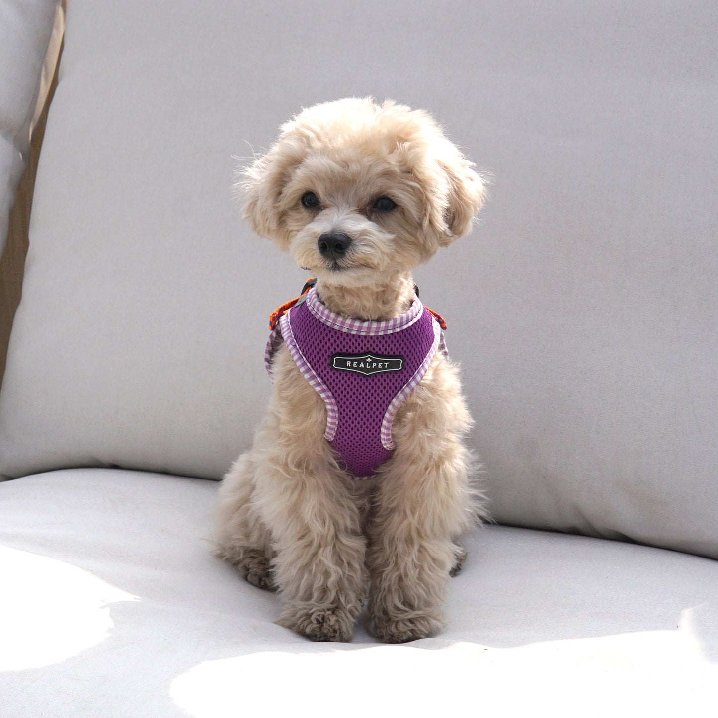 PASTEL CHECK HARNESS