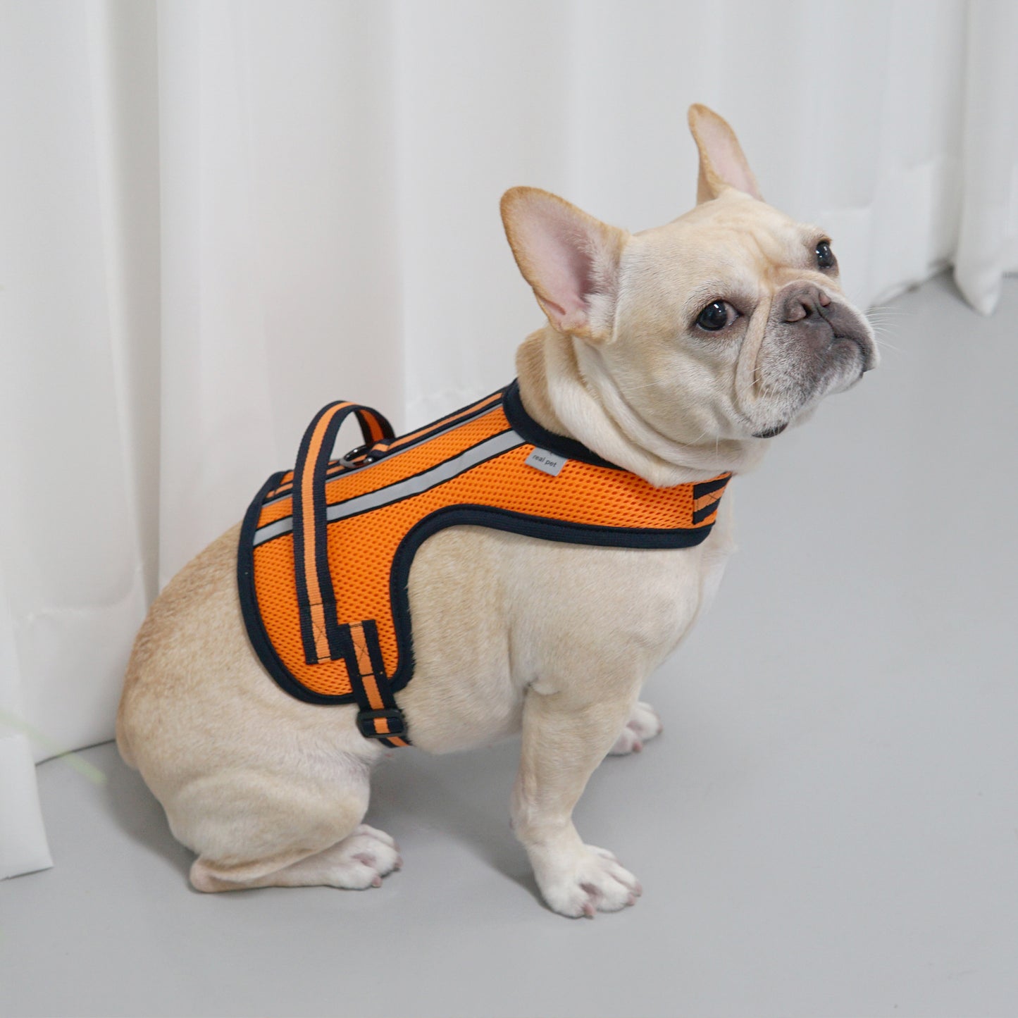 SUPPORT 3M HARNESS