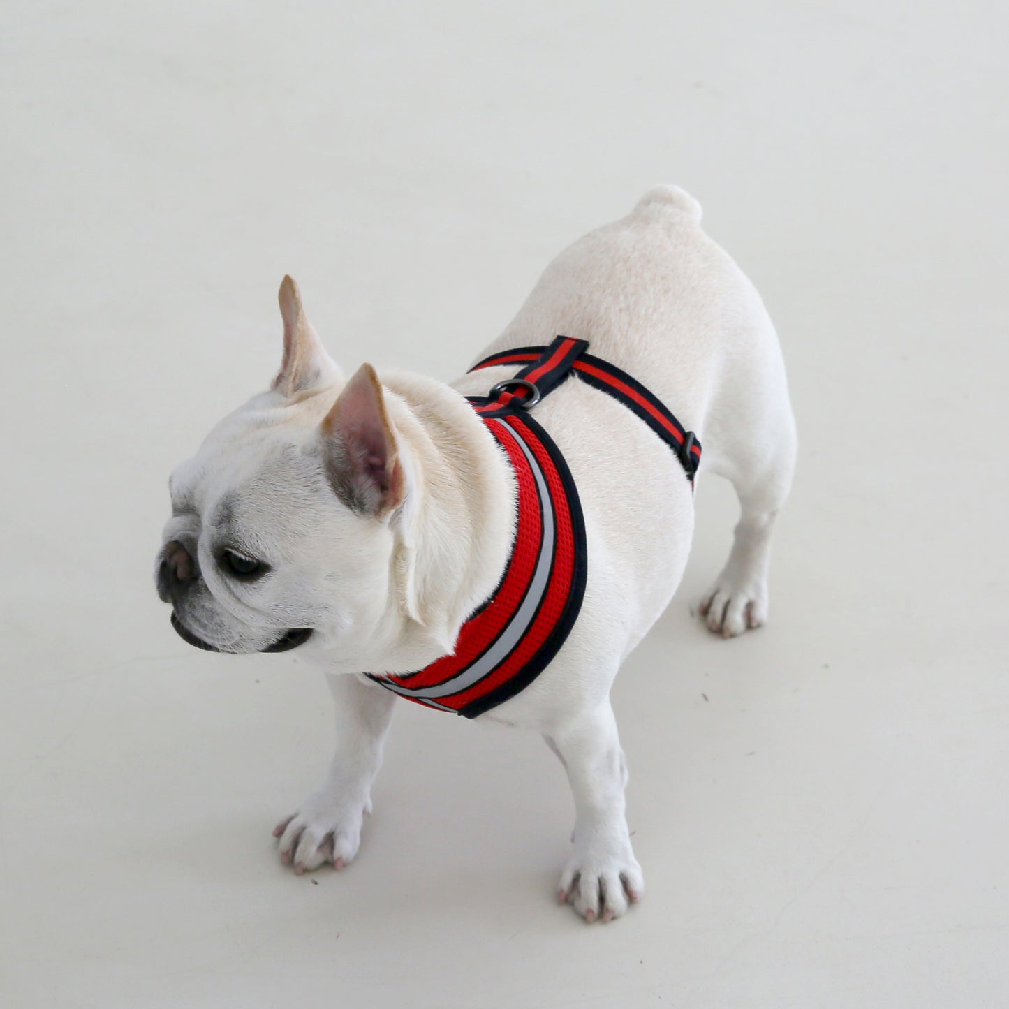 STRETCH 3M HARNESS