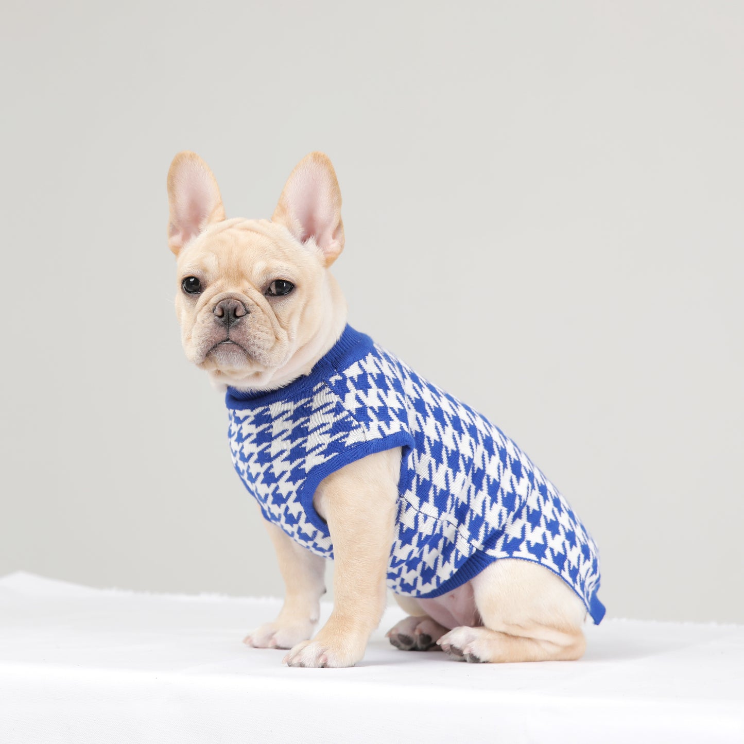 HOUND CHECK KNIT