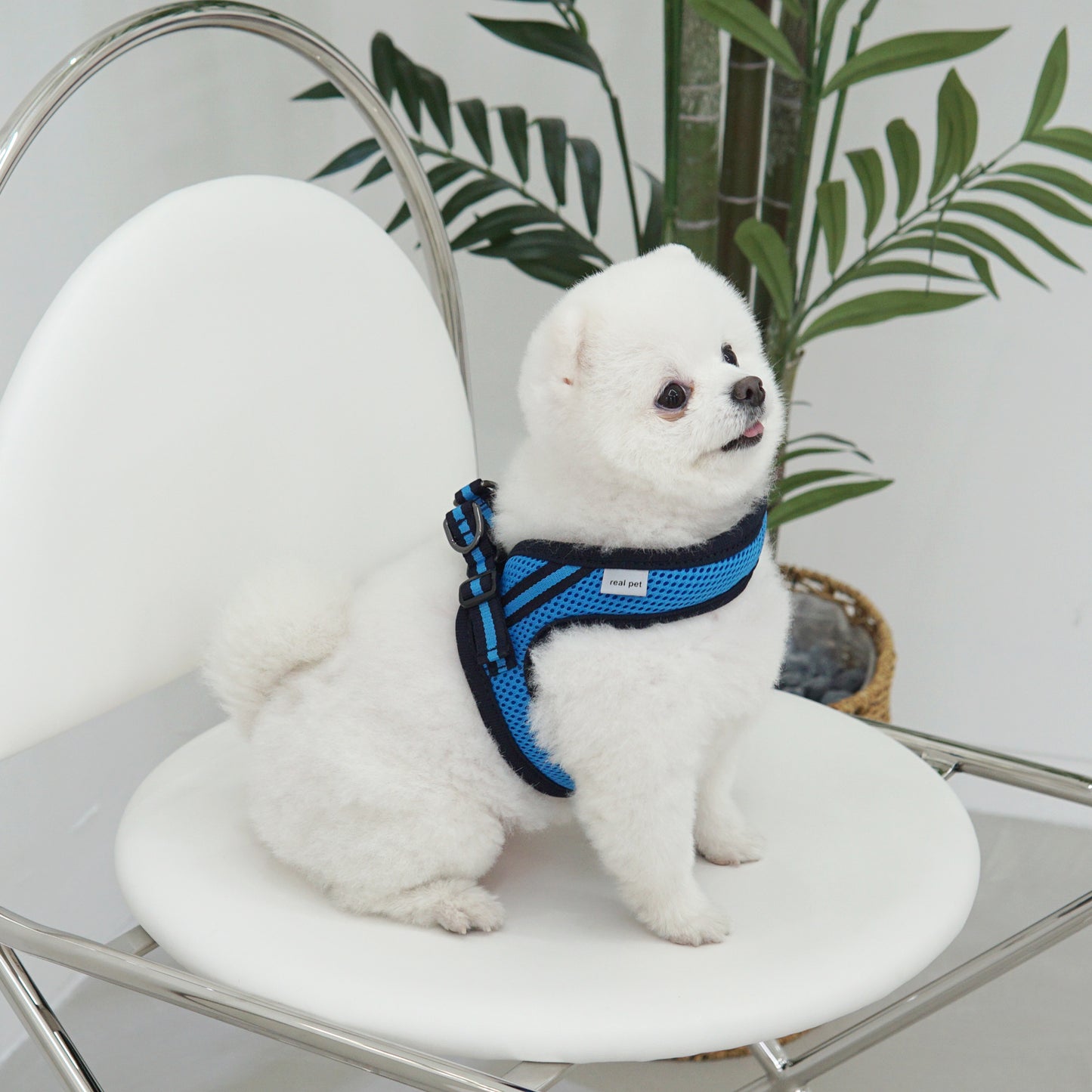 SIMPLY CONTROL HARNESS