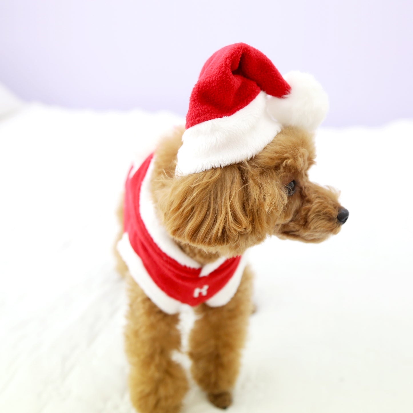 CHRISTMAS HAT/RED