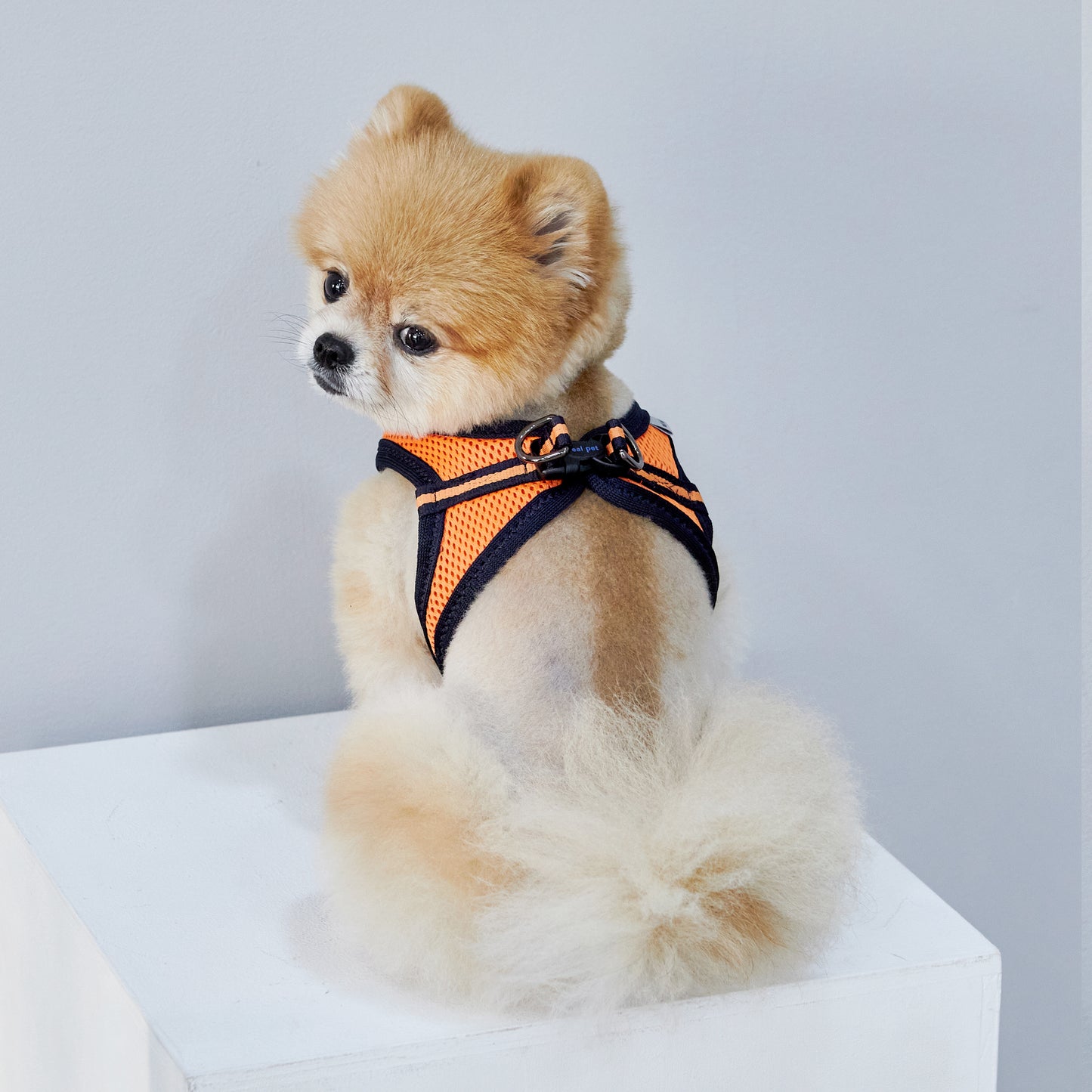 FOUR-SEASON SLIM VEST HARNESS