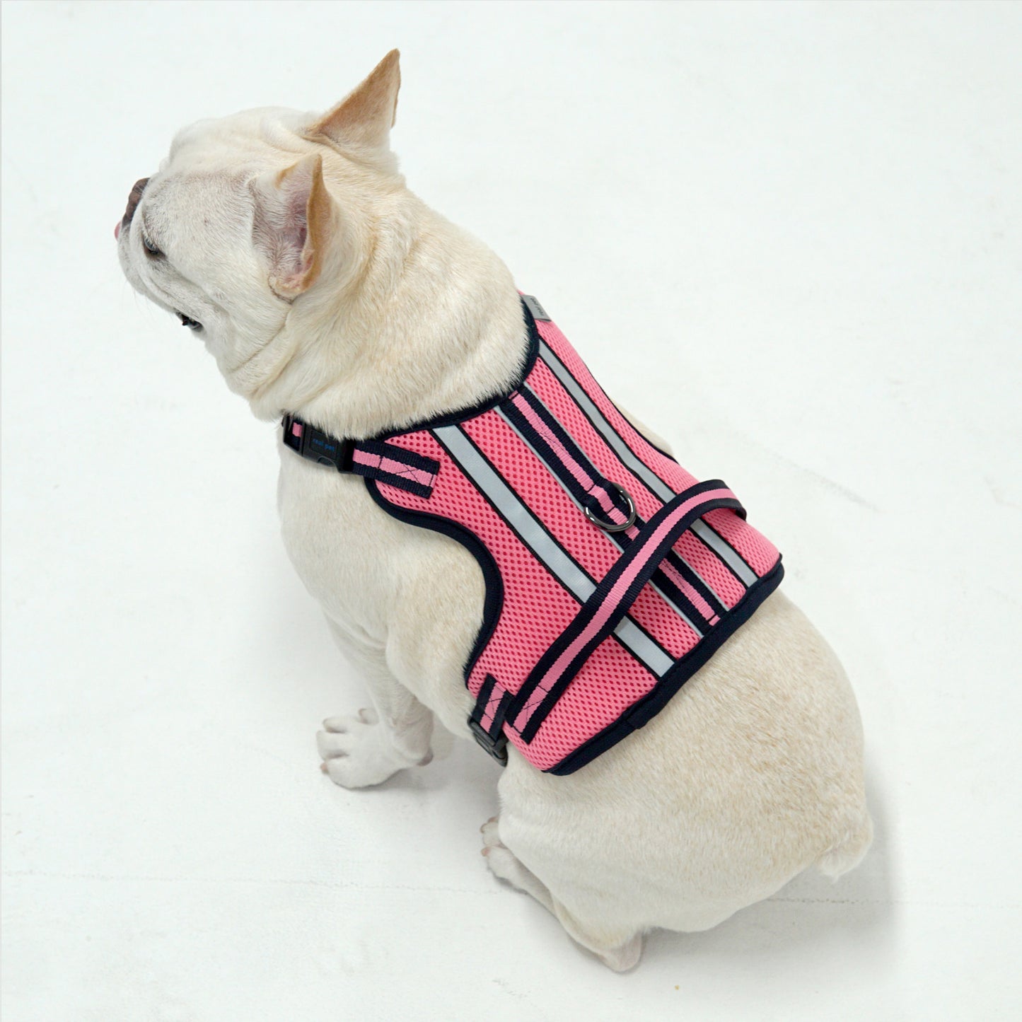 SUPPORT 3M HARNESS