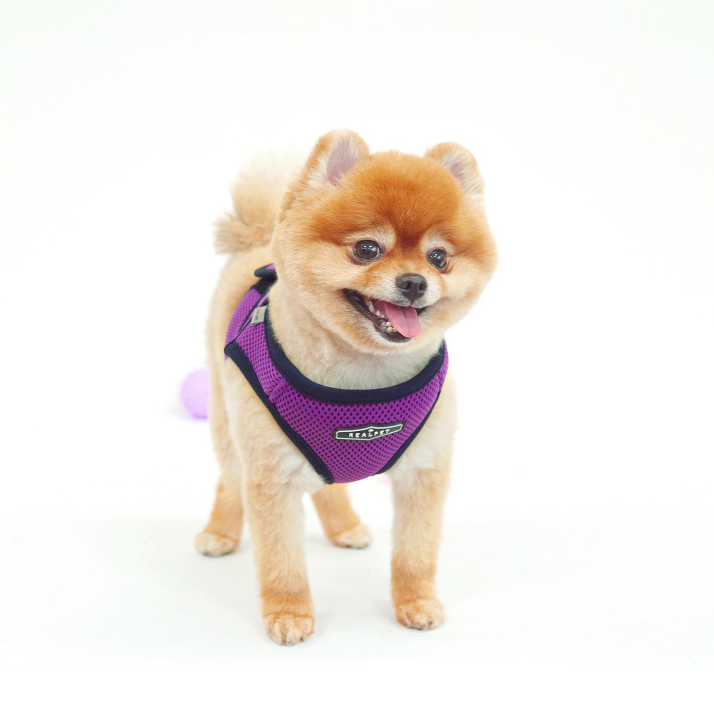 FREE SAFE HARNESS