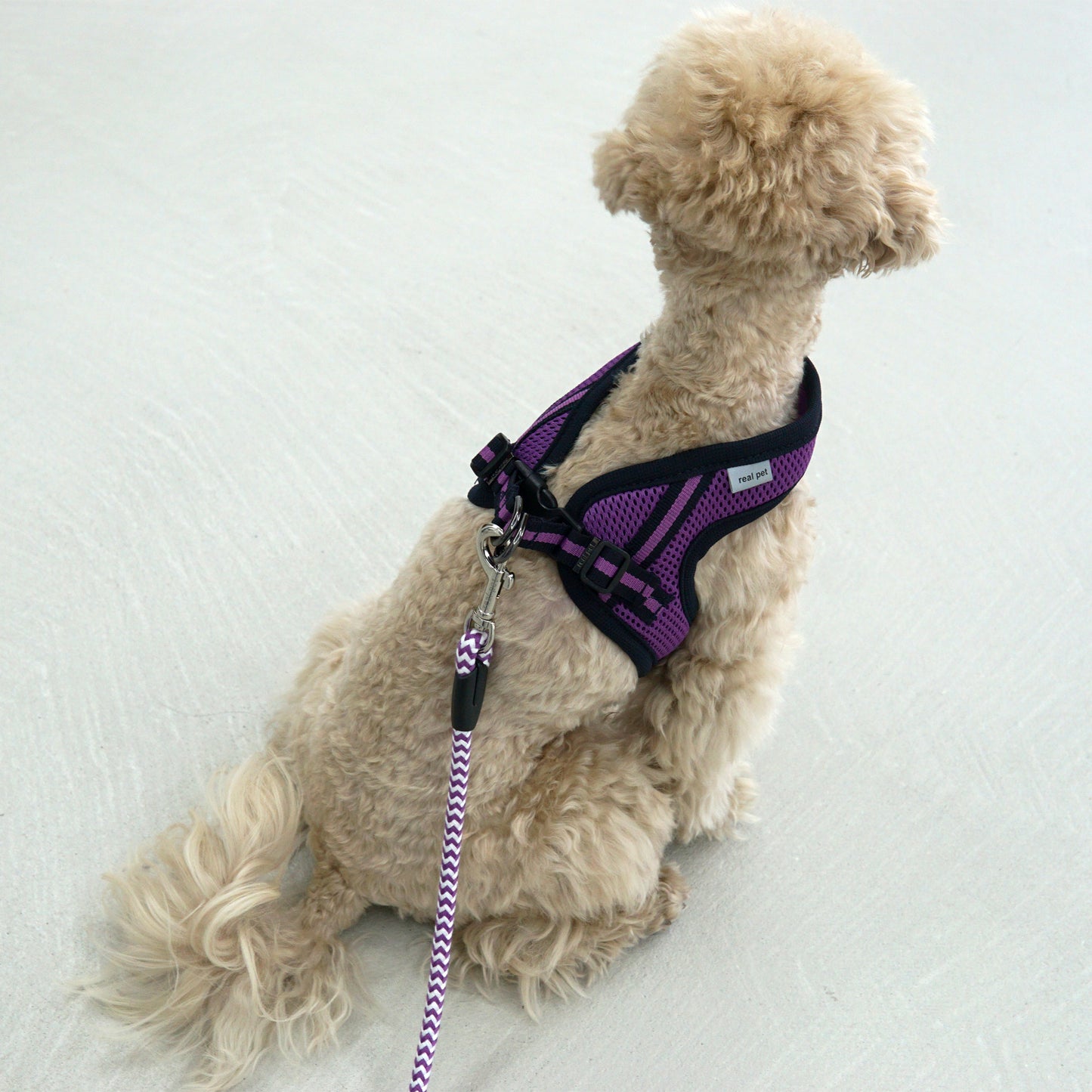 SIMPLY CONTROL HARNESS