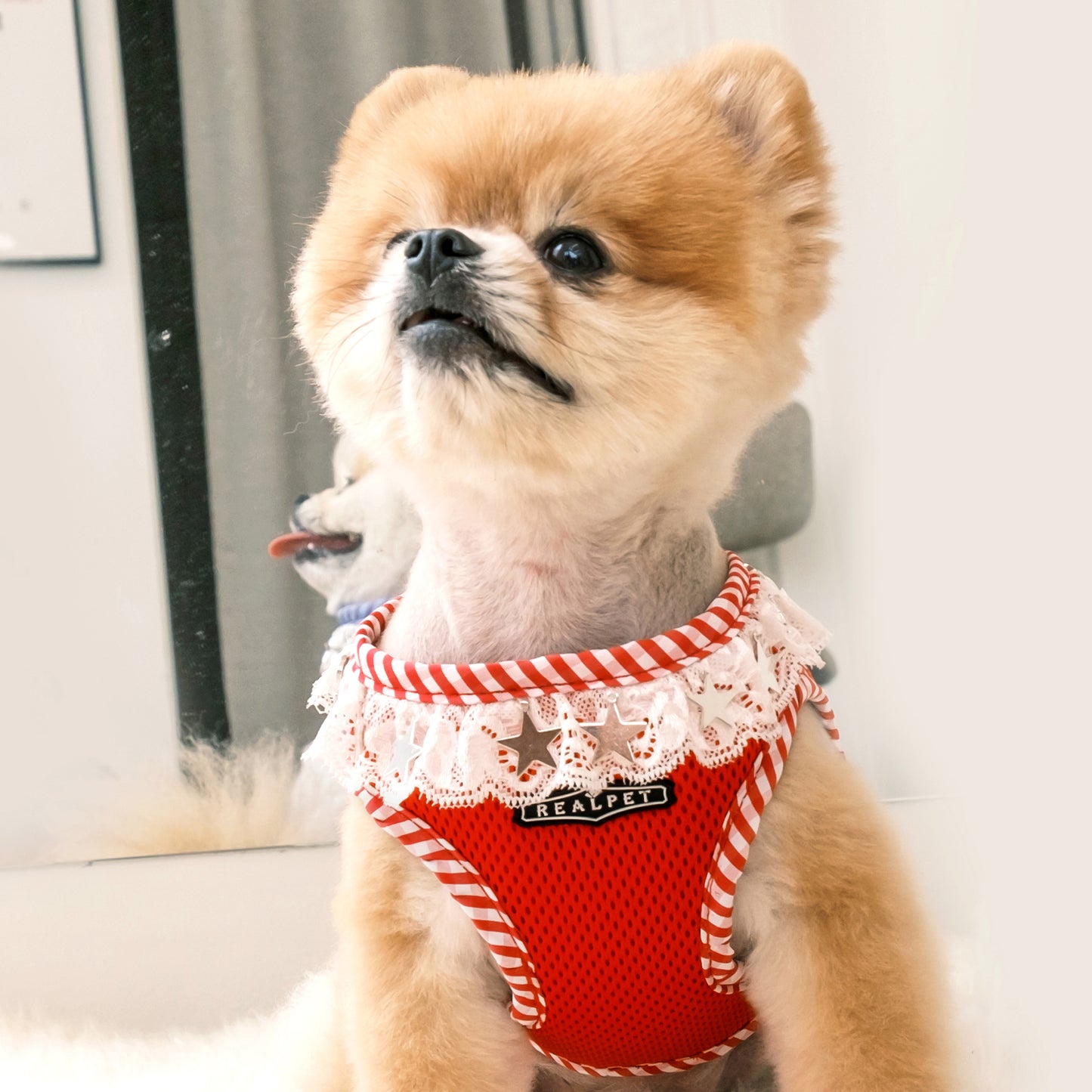 NECK LACE PENDANT HARNESS